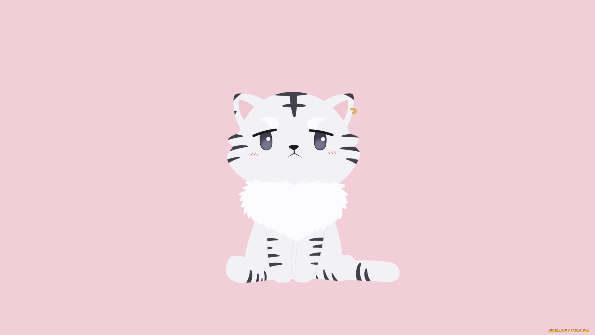 isekai, wa, smartphone, to, tomo, ni, аниме, котик