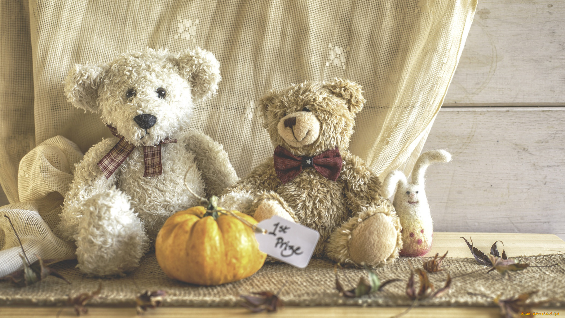 разное, игрушки, медведь, тыква