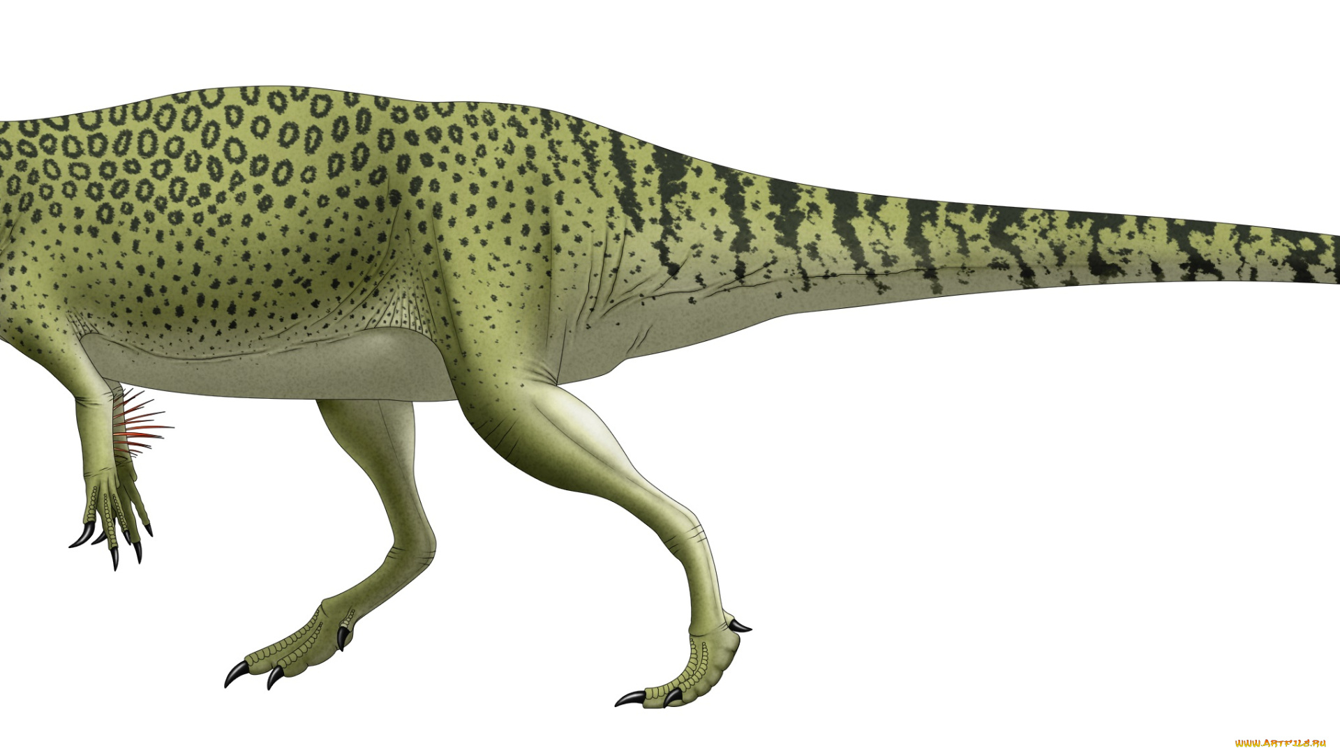 рисованное, животные, , доисторические, динозавр