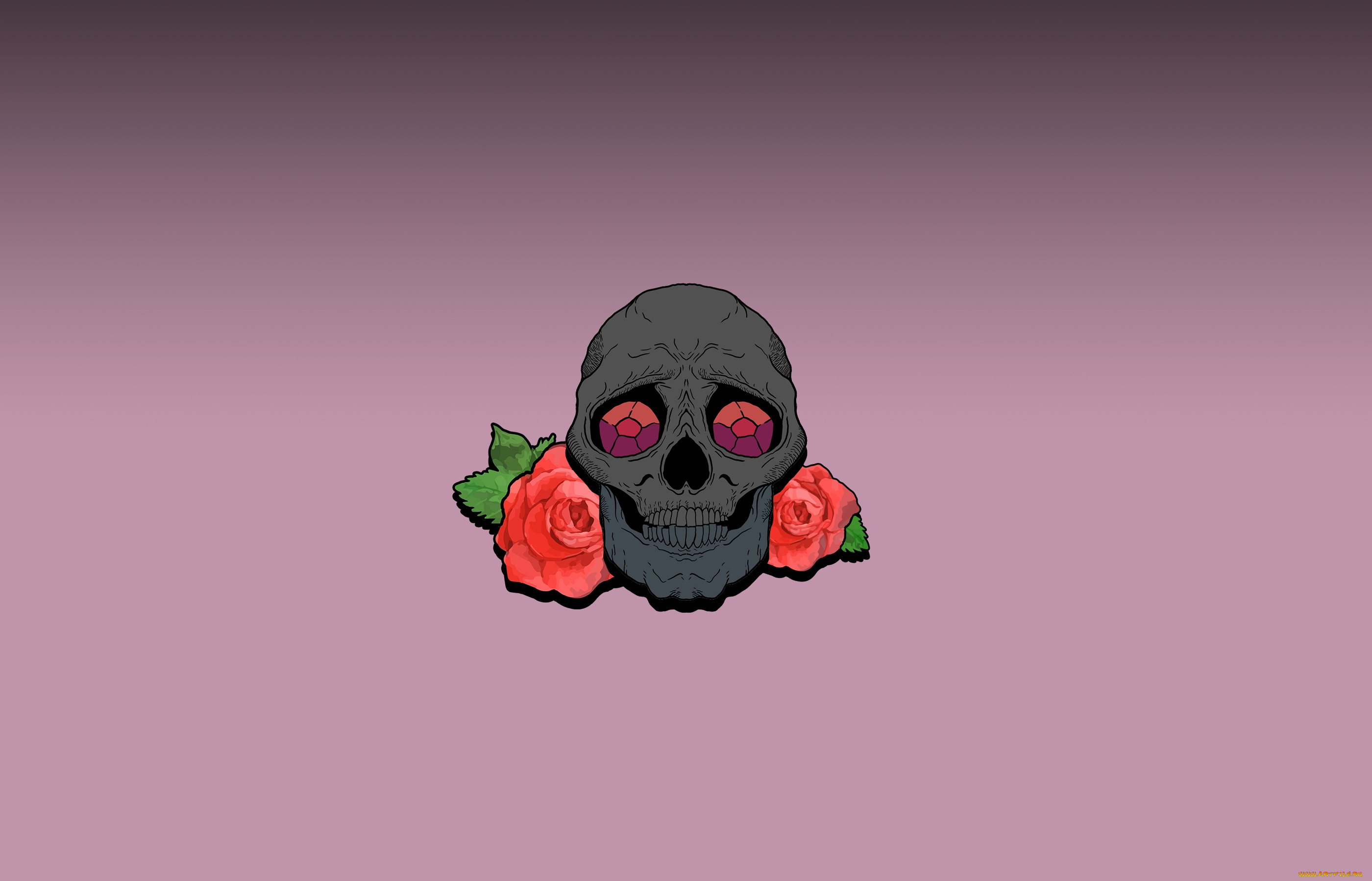 рисованное, минимализм, череп, фон, розы