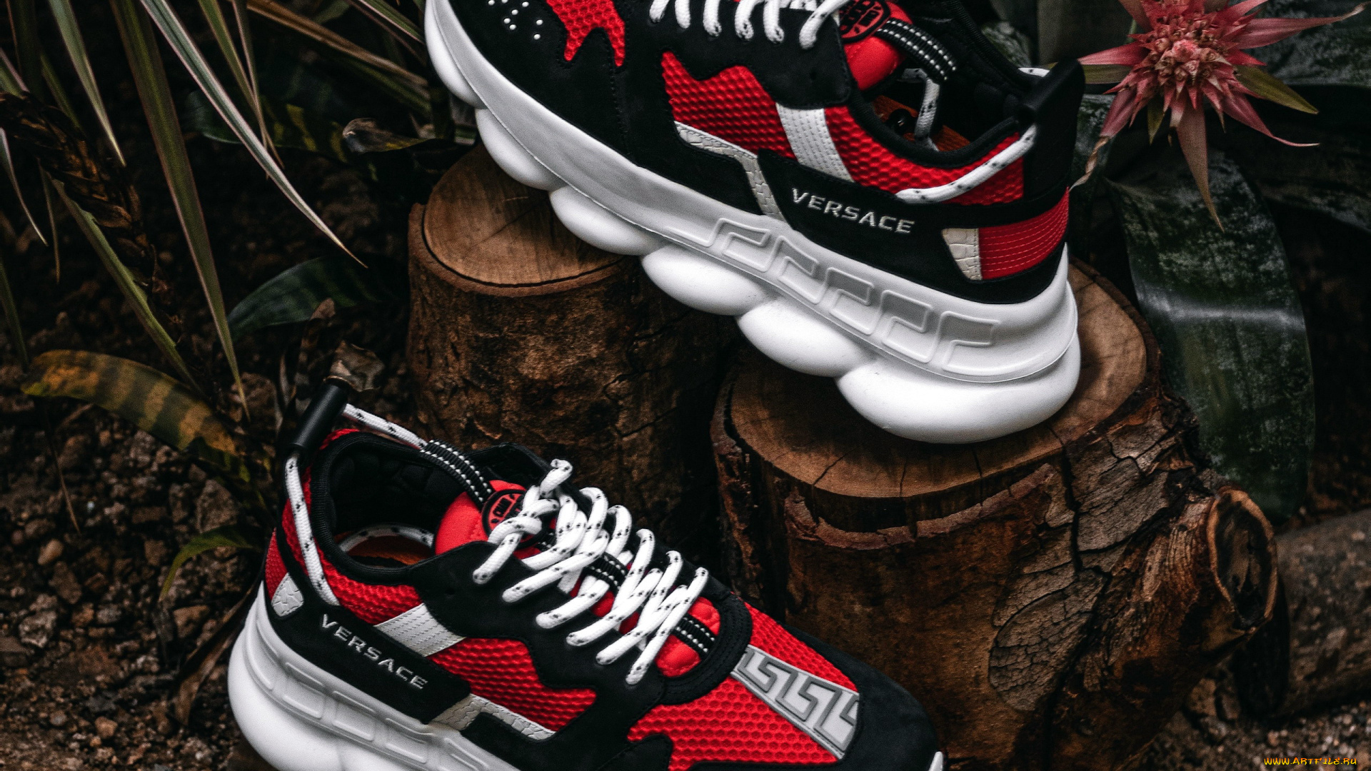 бренды, versace, sneakers, shoes