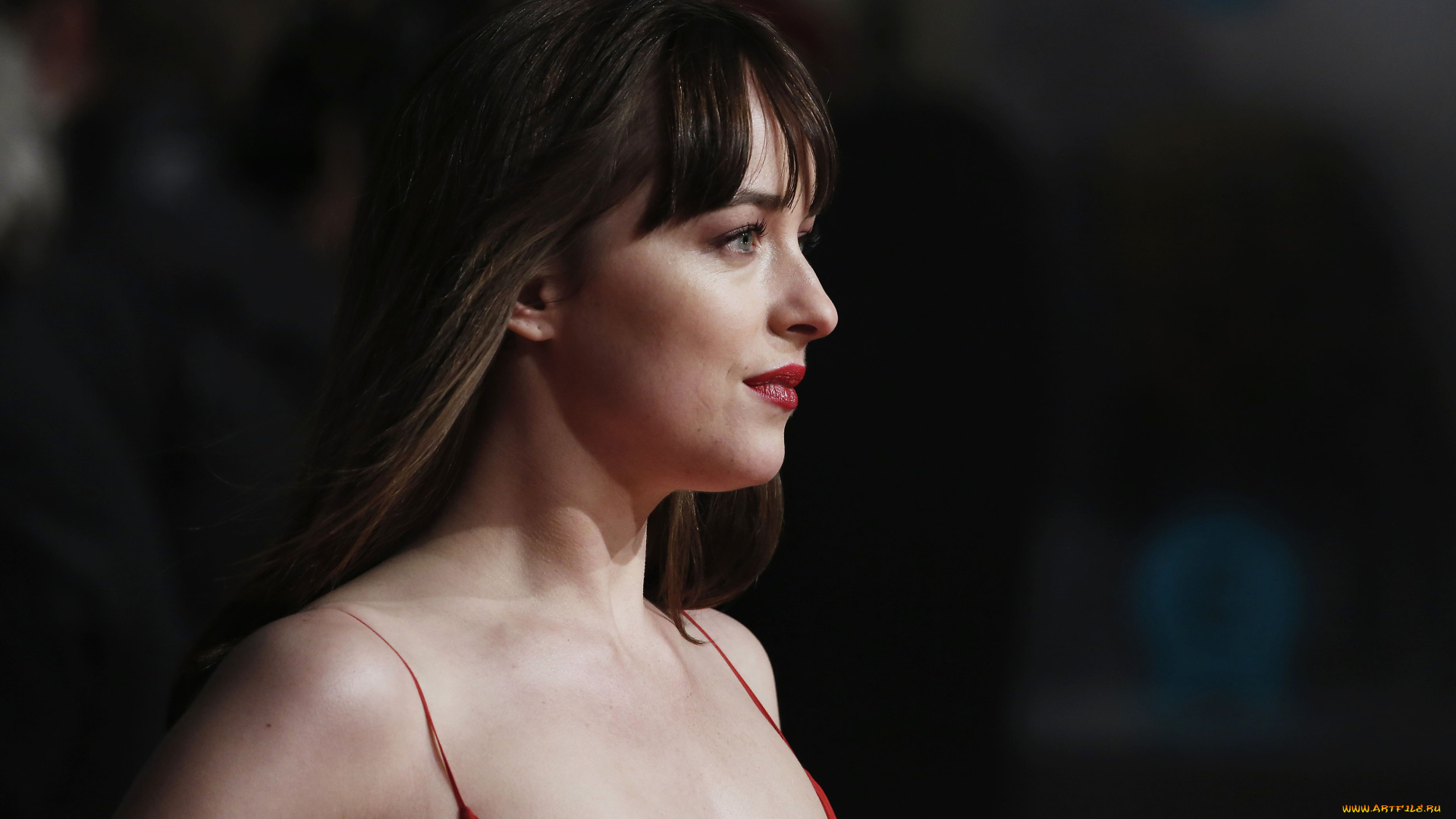 девушки, dakota, johnson, лицо, шатенка, актриса