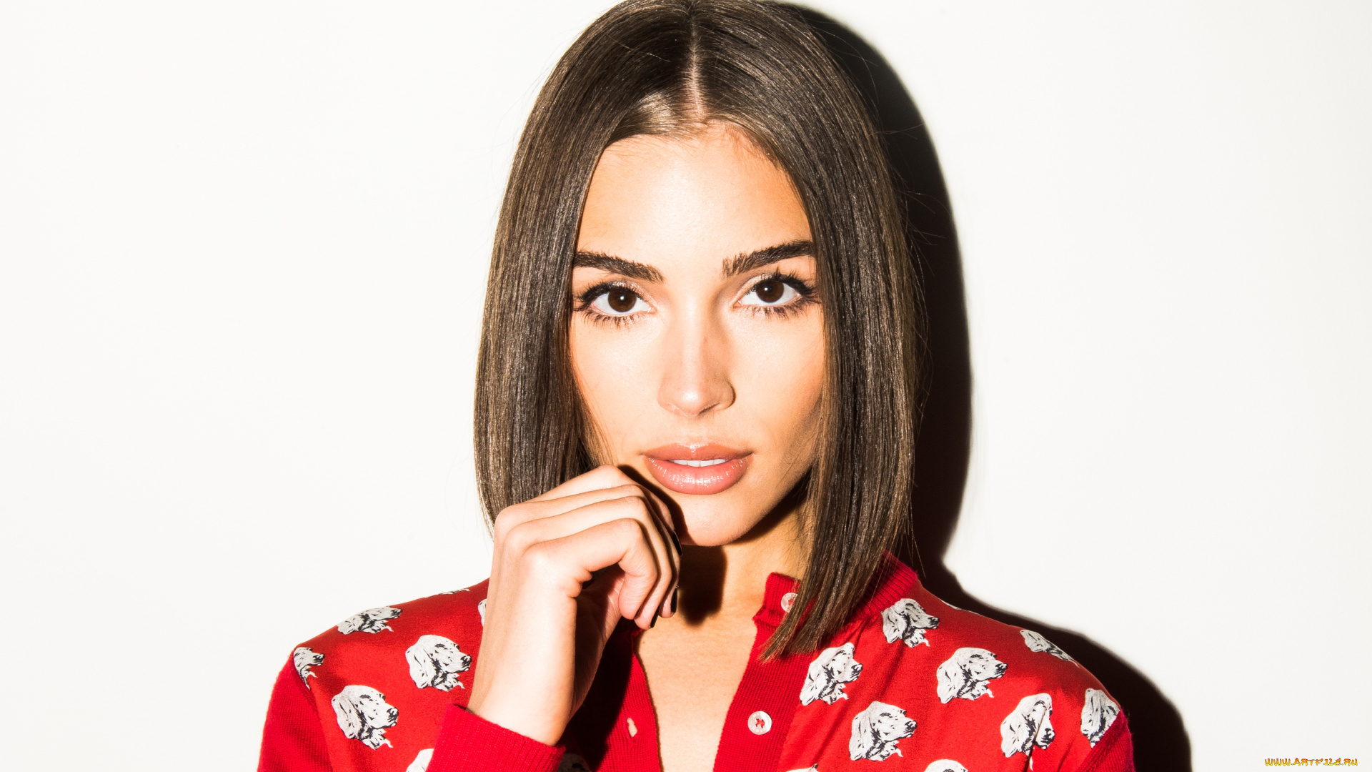 девушки, olivia, culpo, кофта, лицо, шатенка