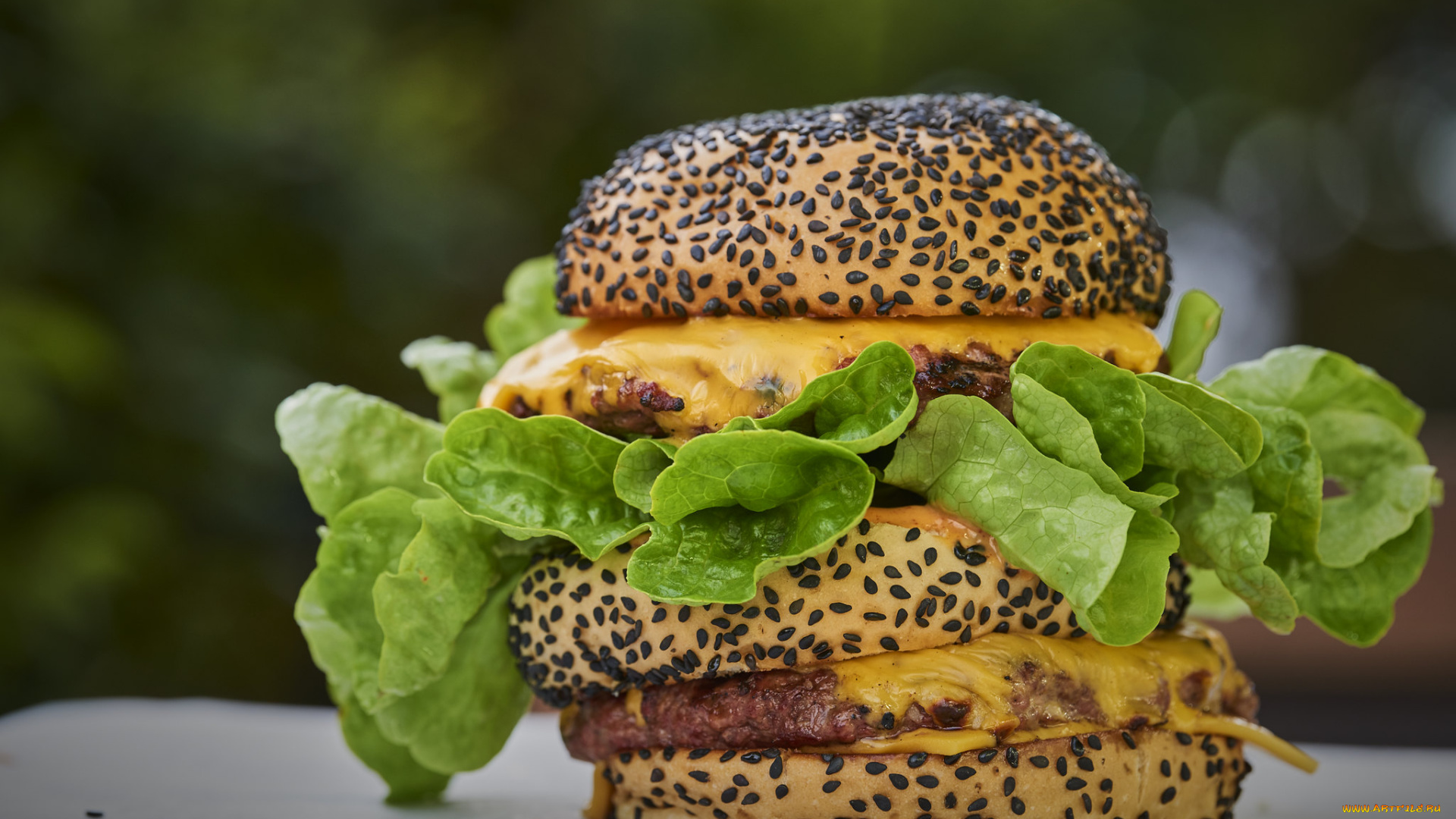 еда, бутерброды, , гамбургеры, , канапе, снедь