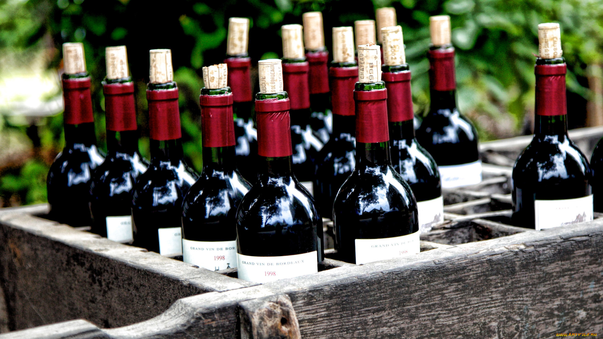 еда, напитки, , вино, красное, вино, бутылки