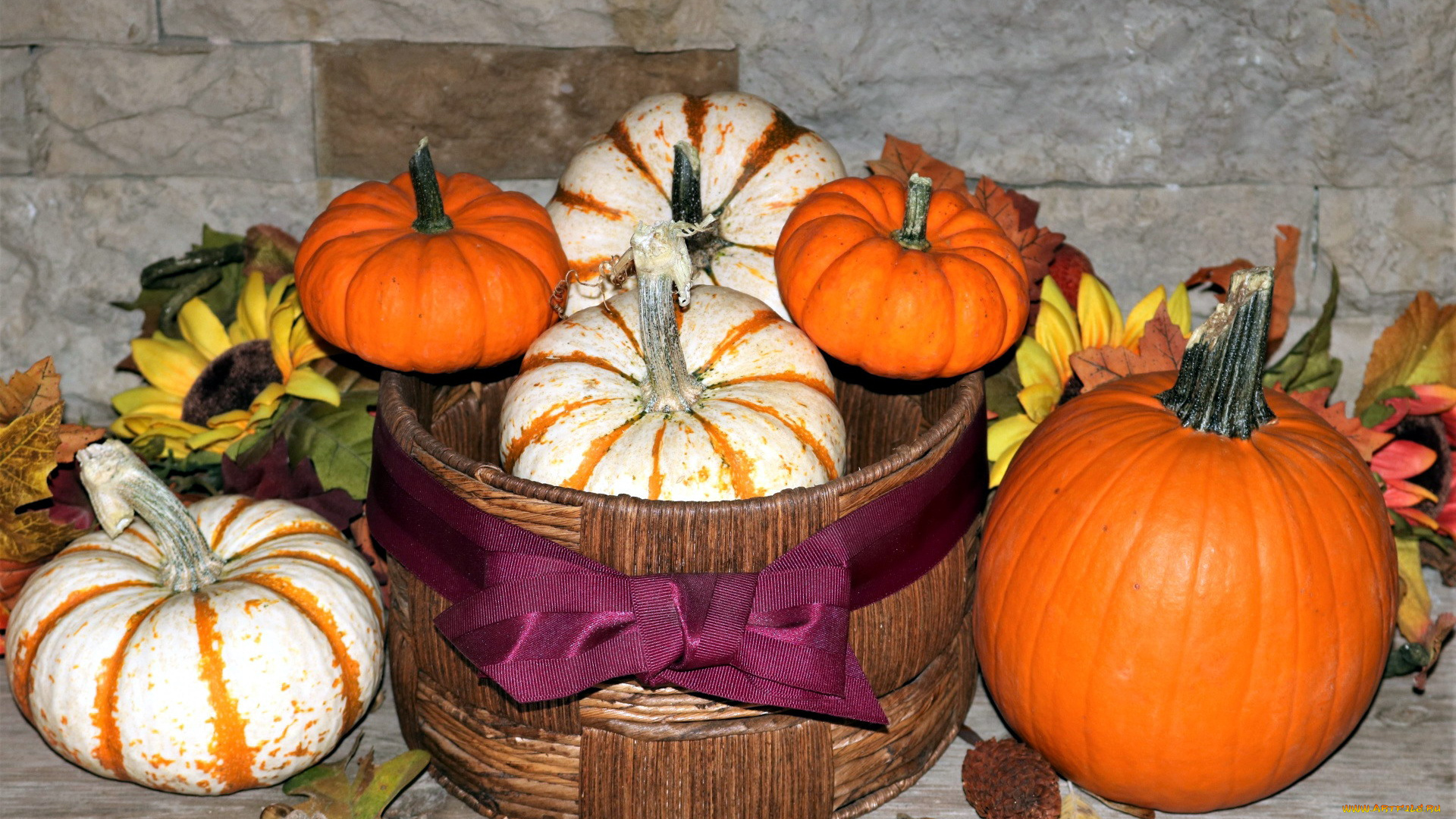 еда, тыква, урожай, тыквы, овощи