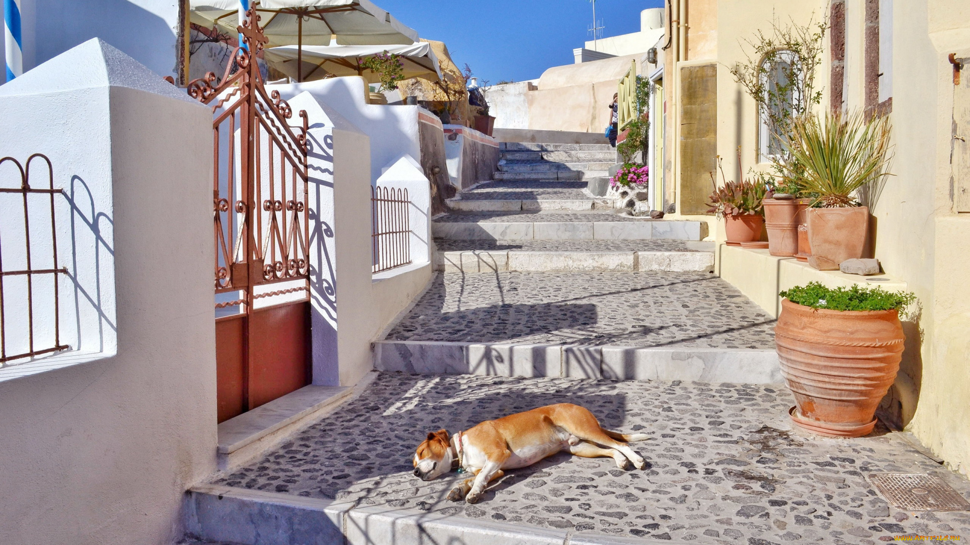 города, санторини, , греция, улица