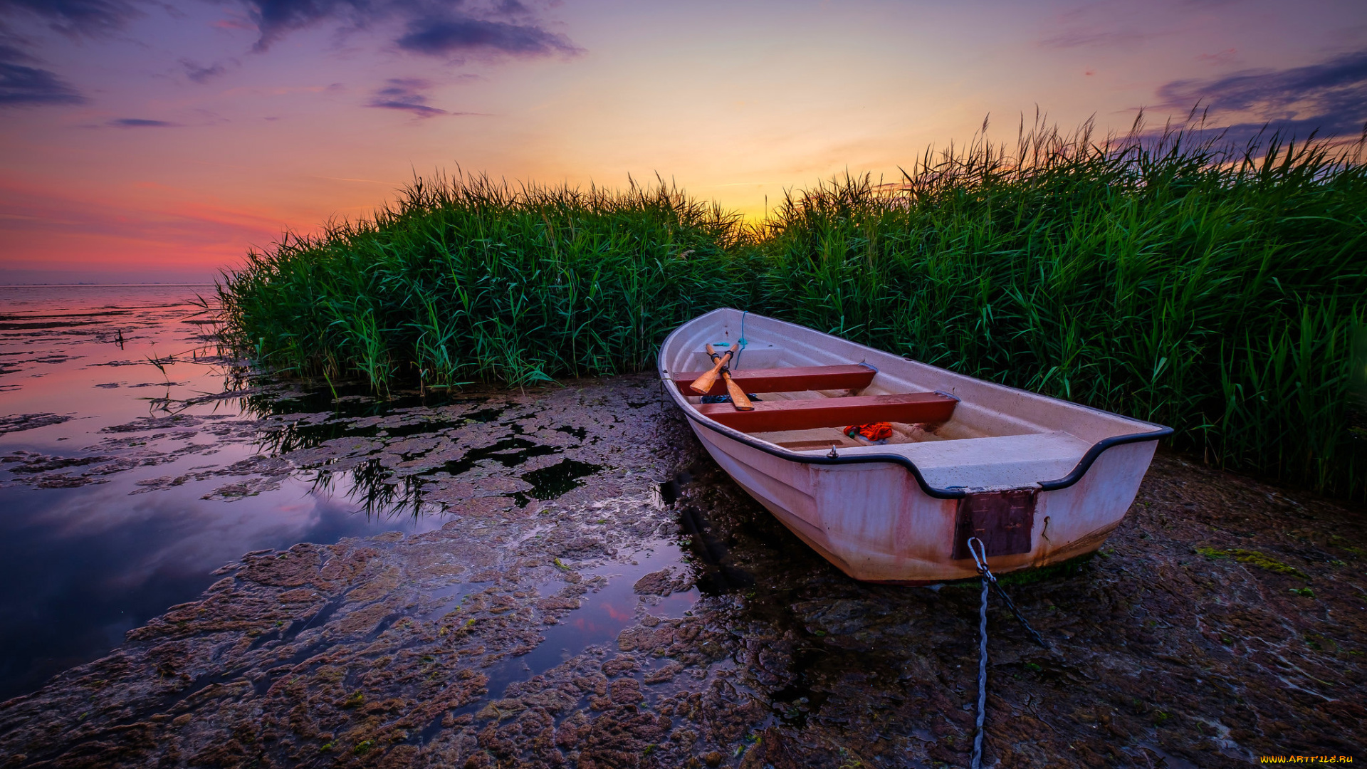 корабли, лодки, , шлюпки, лодка, река, закат