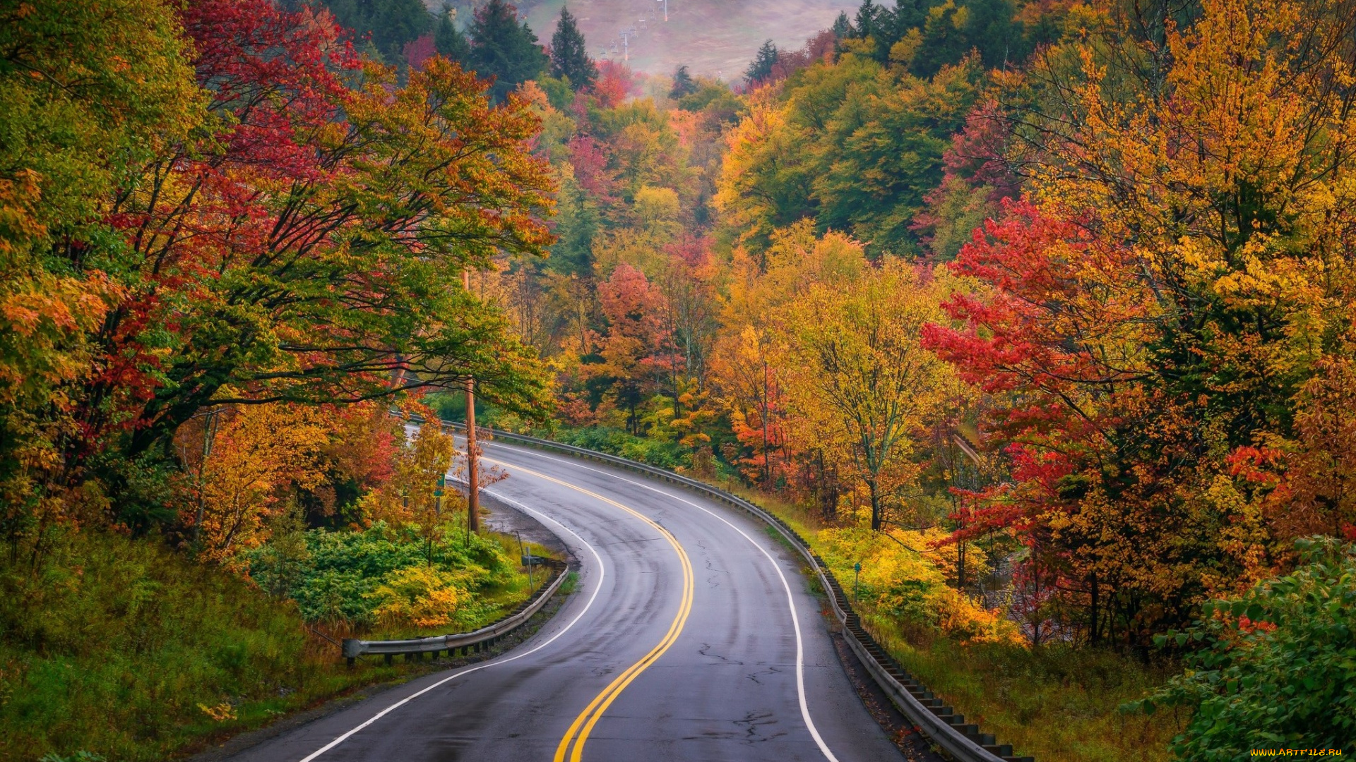 природа, дороги, простор