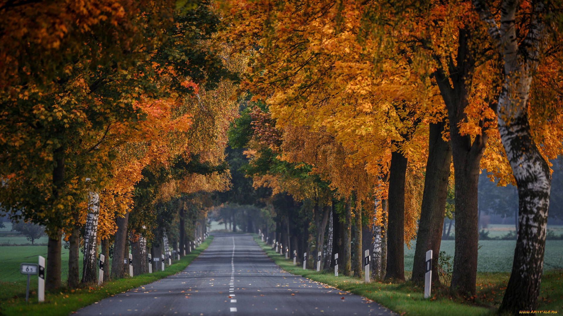 природа, дороги, простор