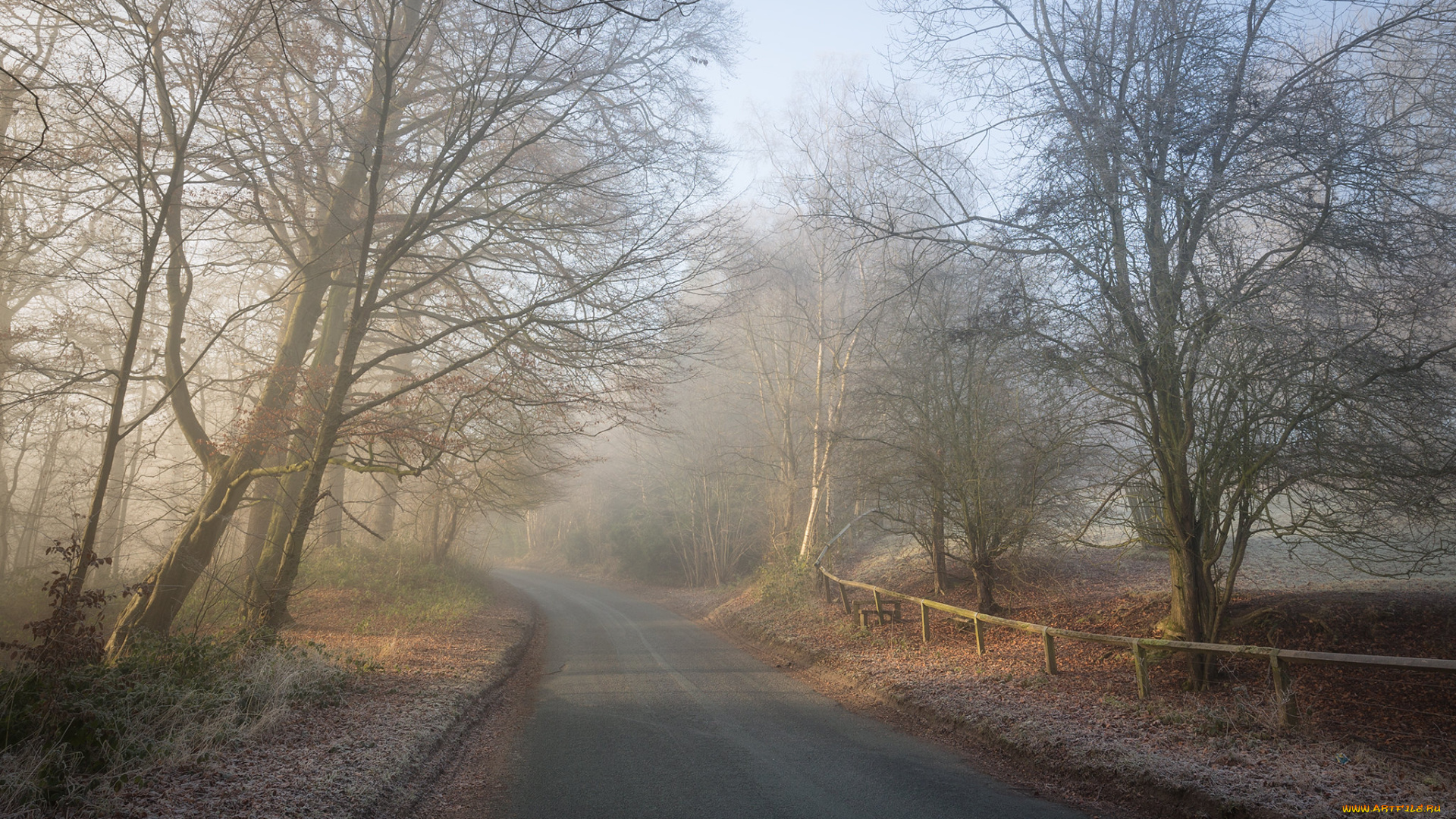 природа, дороги, простор