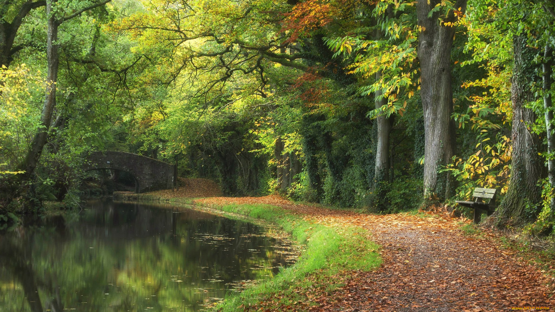 природа, дороги, простор