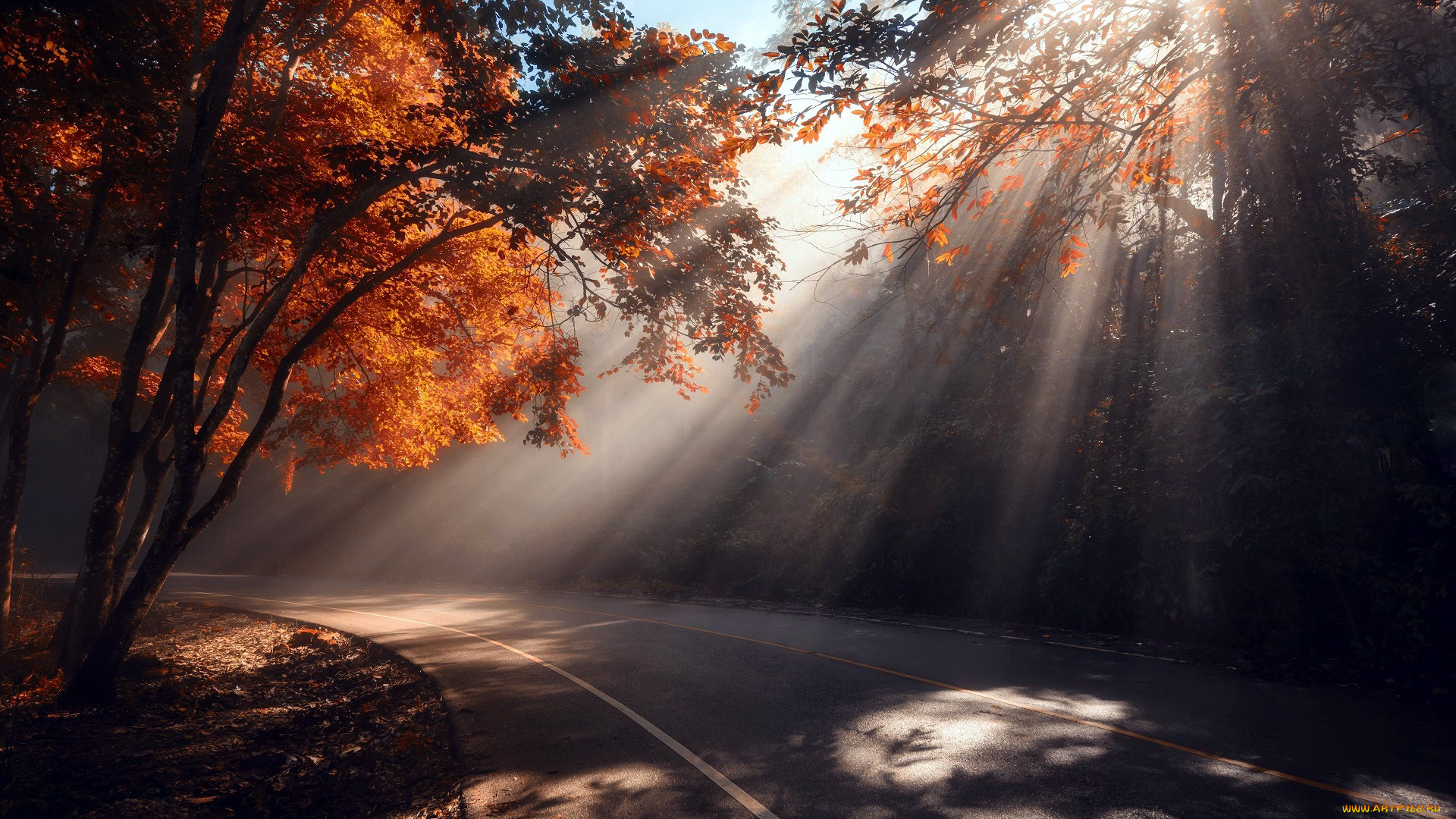 природа, дороги, шоссе