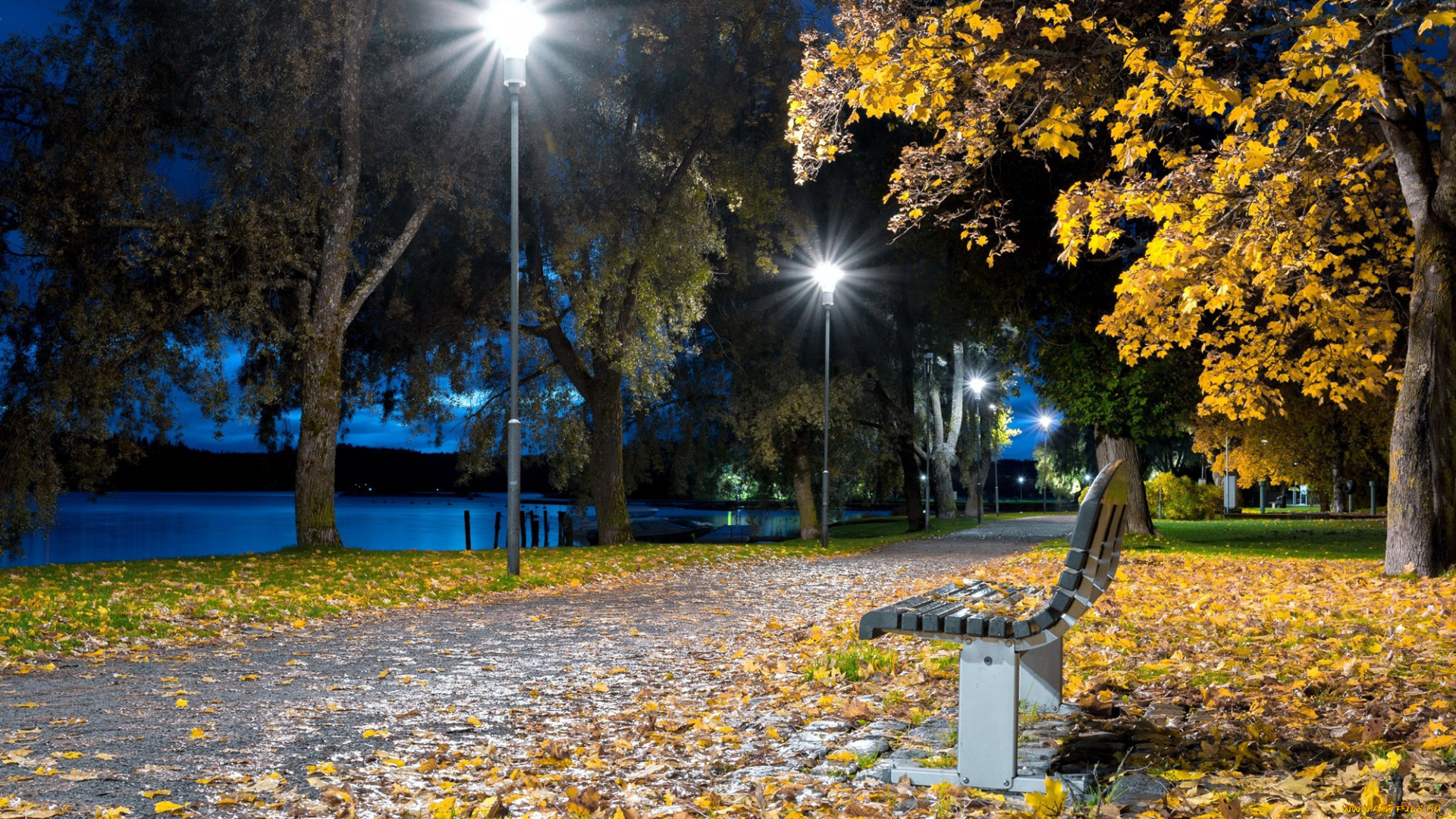 природа, парк, аллея, осень, листопад, вечер