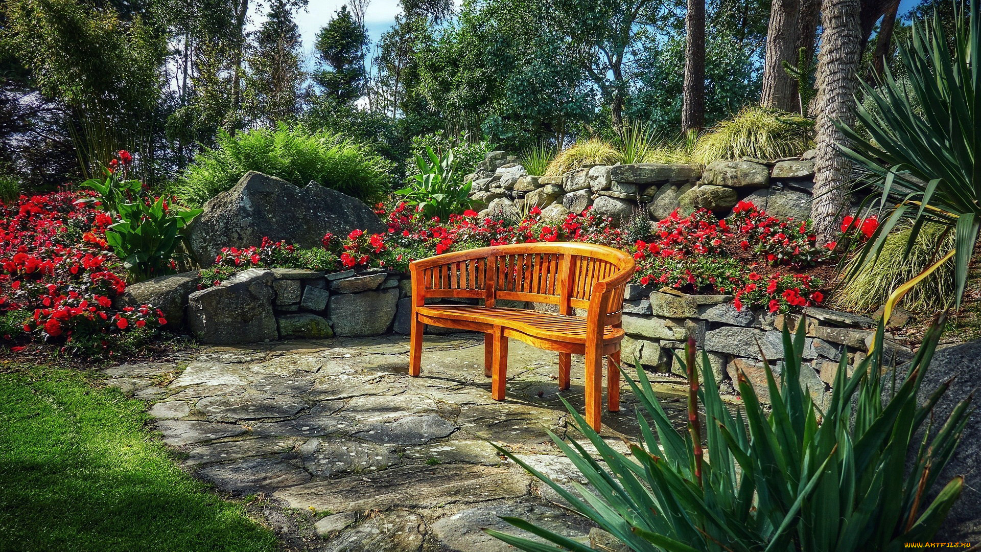 природа, парк, клумбы, скамейка