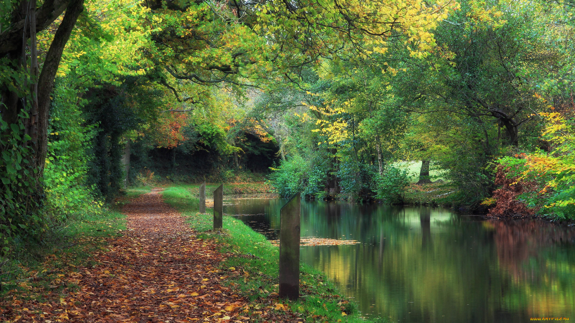 природа, парк, простор