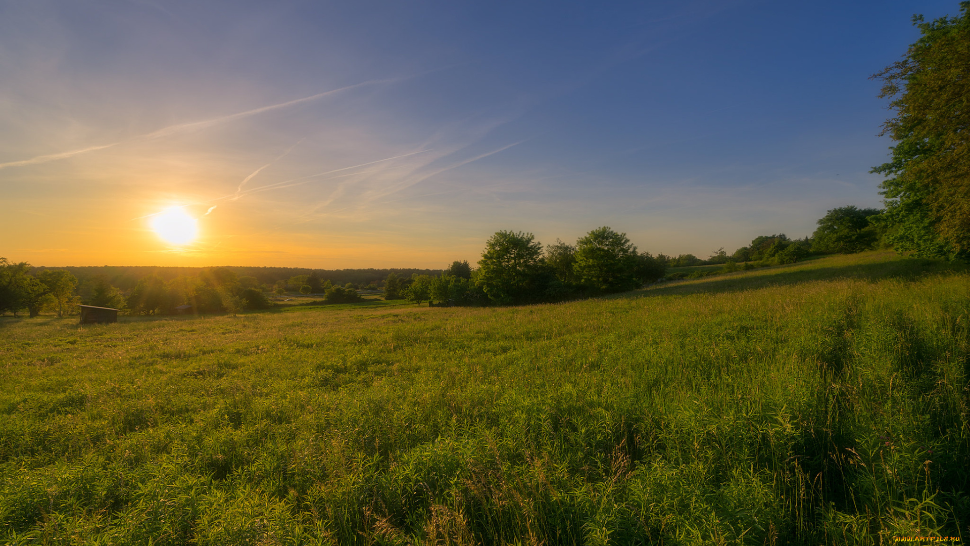 природа, поля, простор