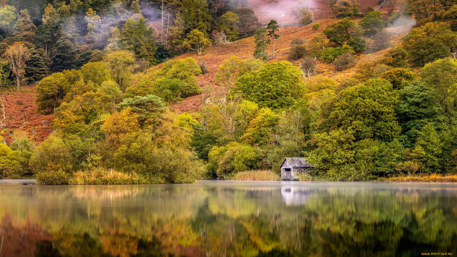 природа, реки, озера, осень, река