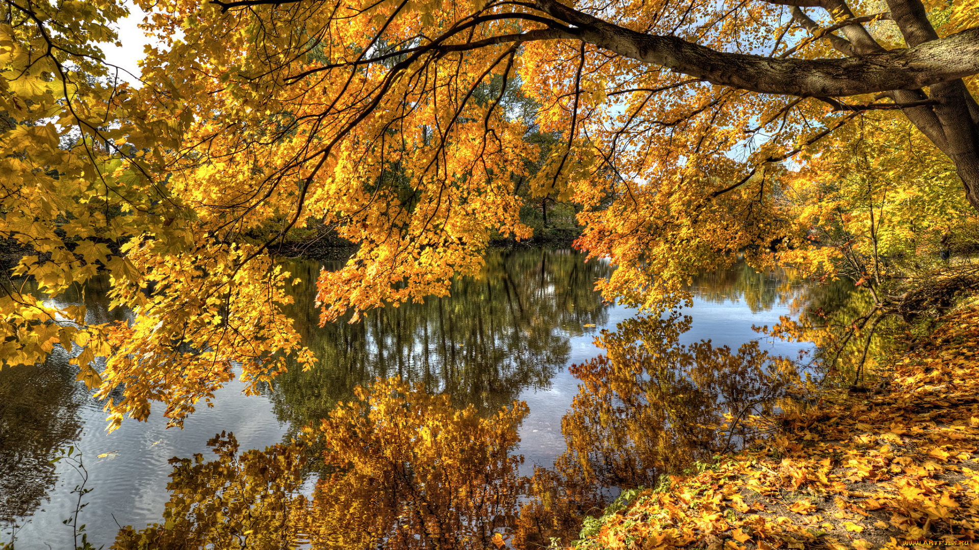 природа, реки, озера, простор