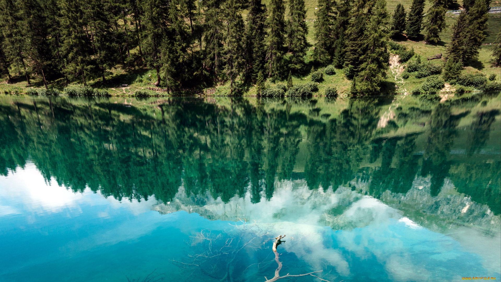 природа, реки, озера, вода, река, отражение