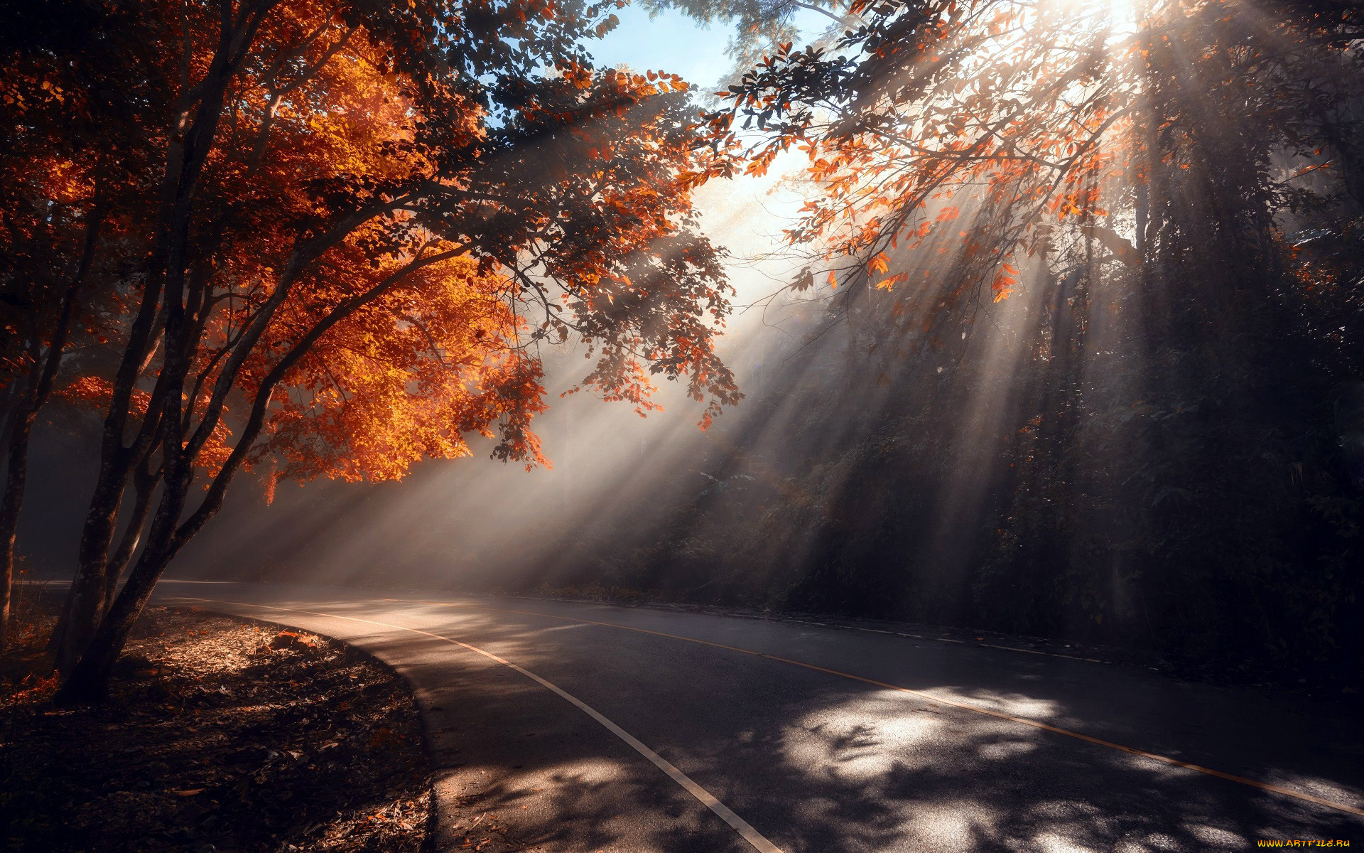 природа, дороги, шоссе