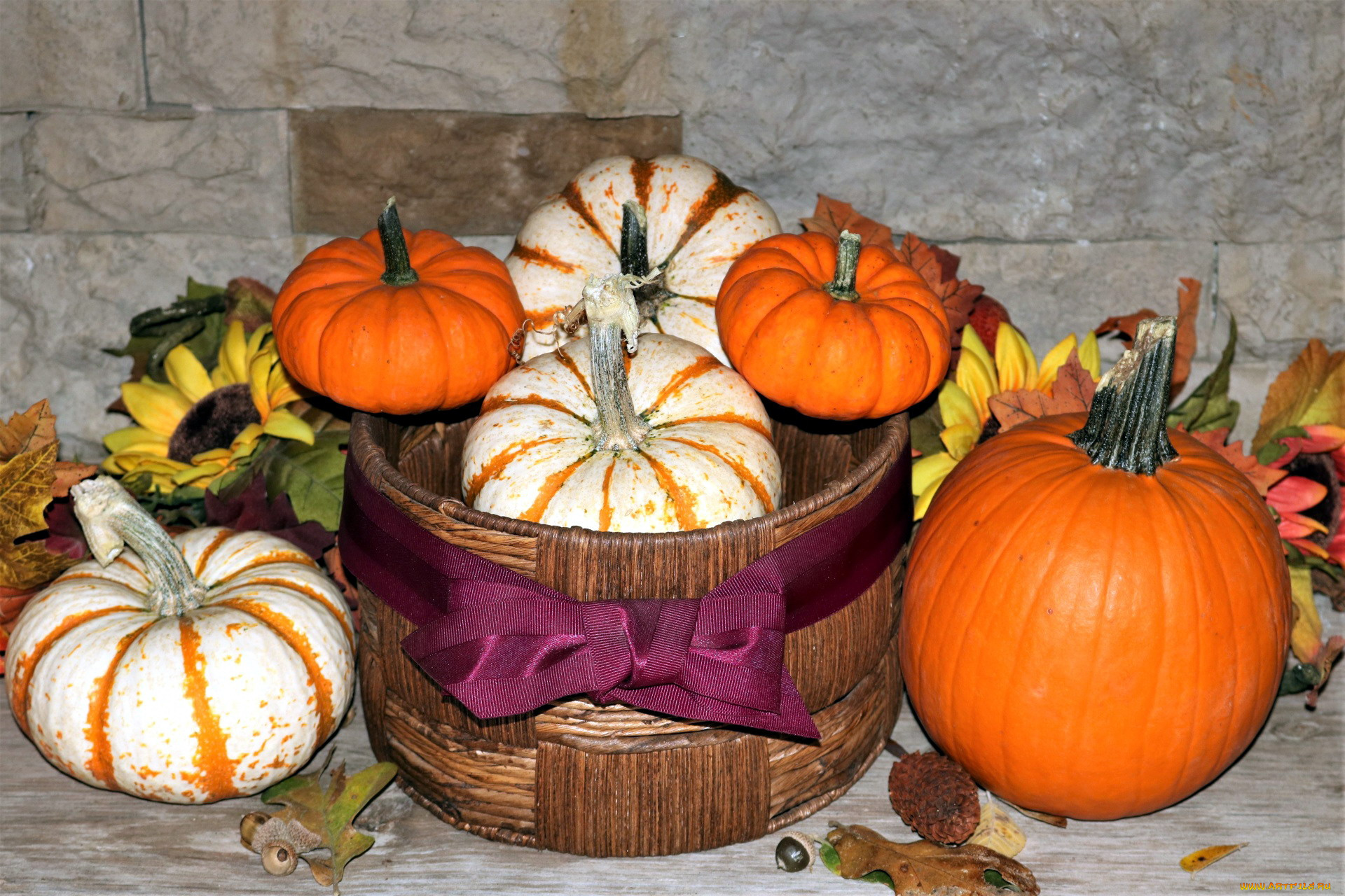 еда, тыква, урожай, тыквы, овощи