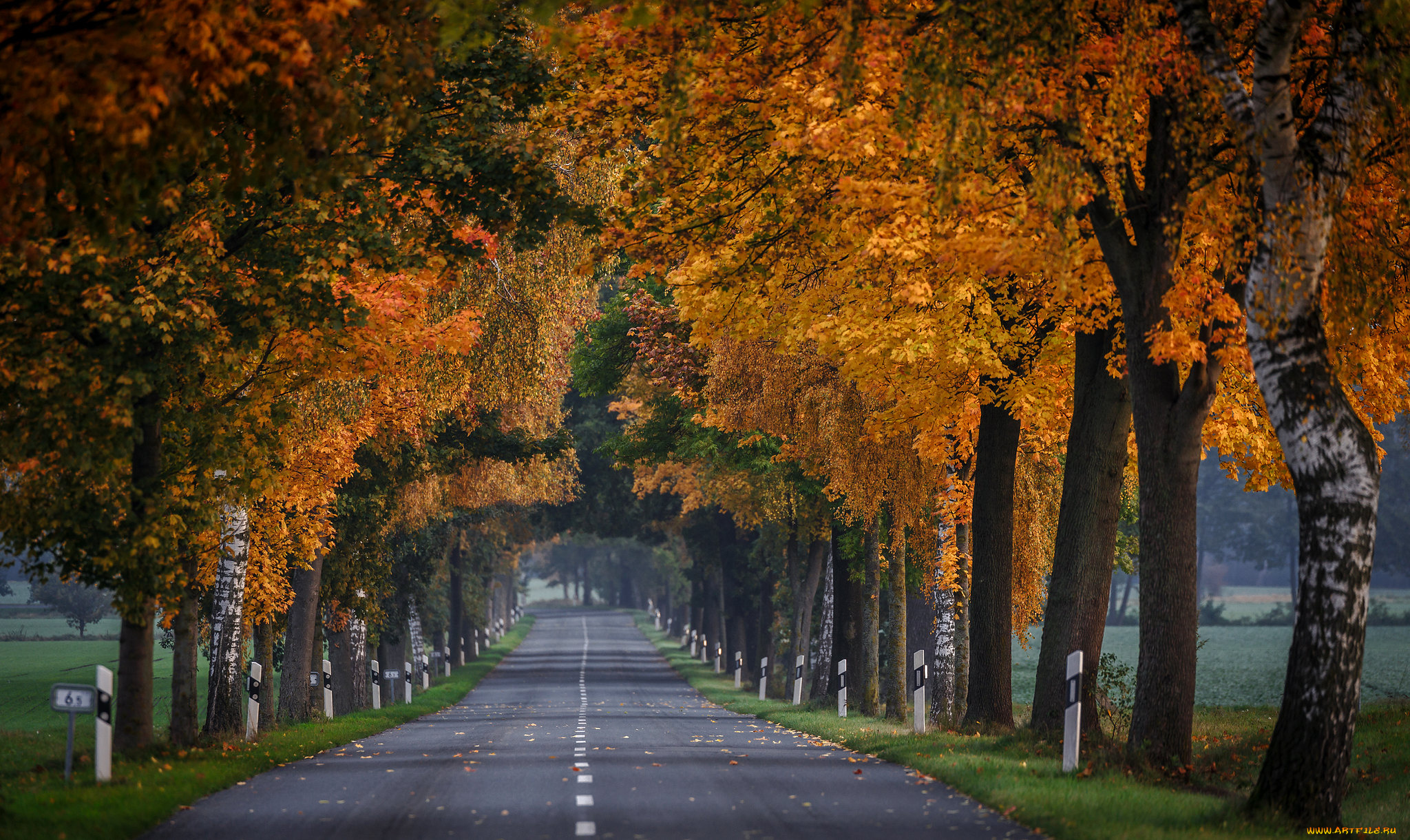 природа, дороги, простор