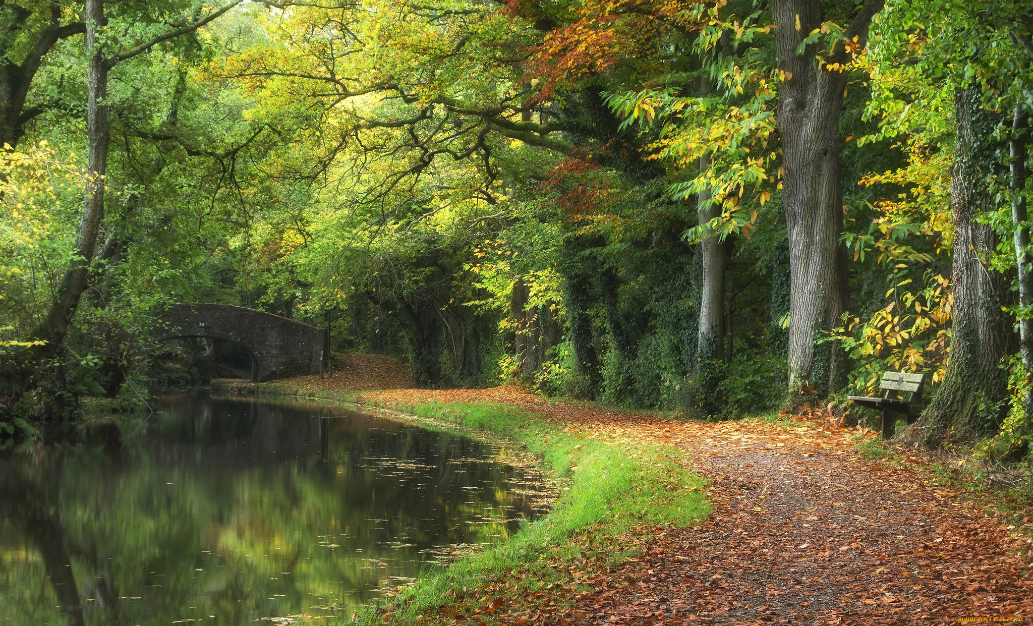 природа, дороги, простор