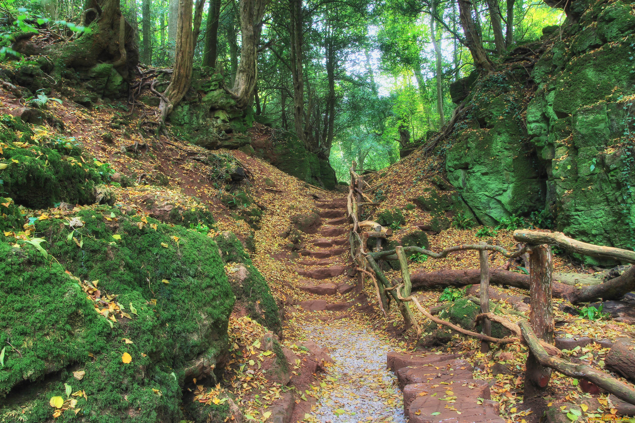 природа, дороги, простор