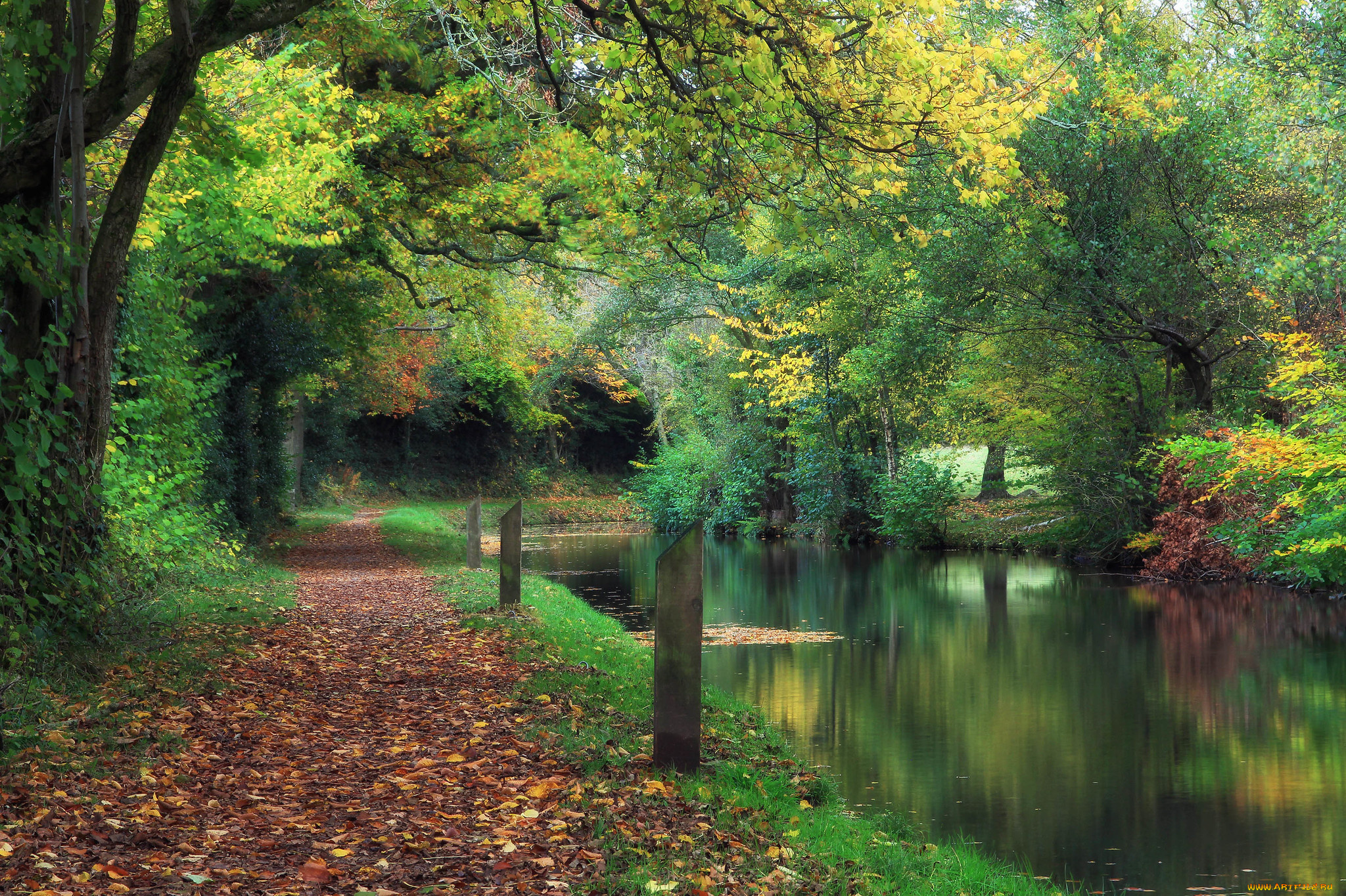 природа, парк, простор