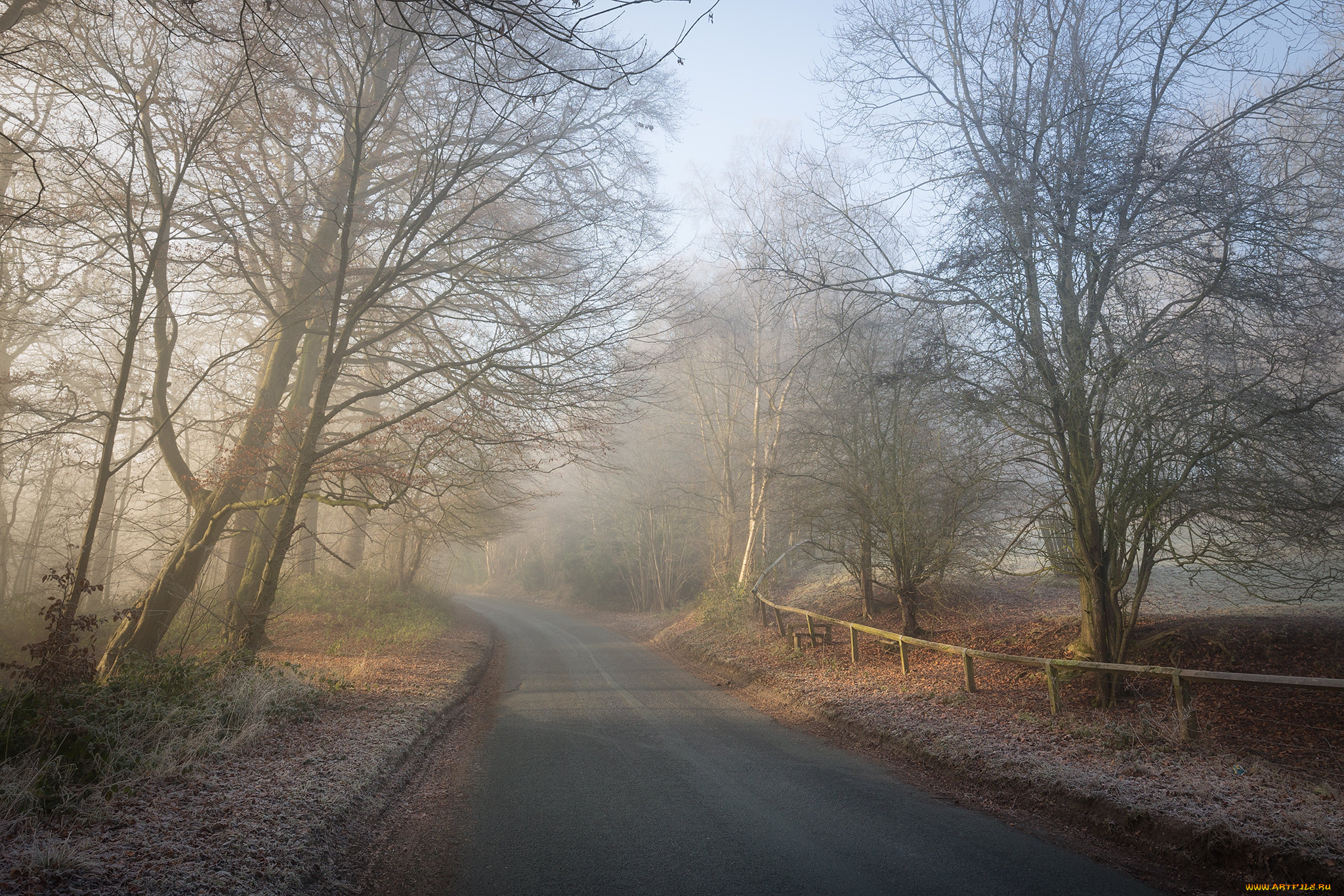 природа, дороги, простор