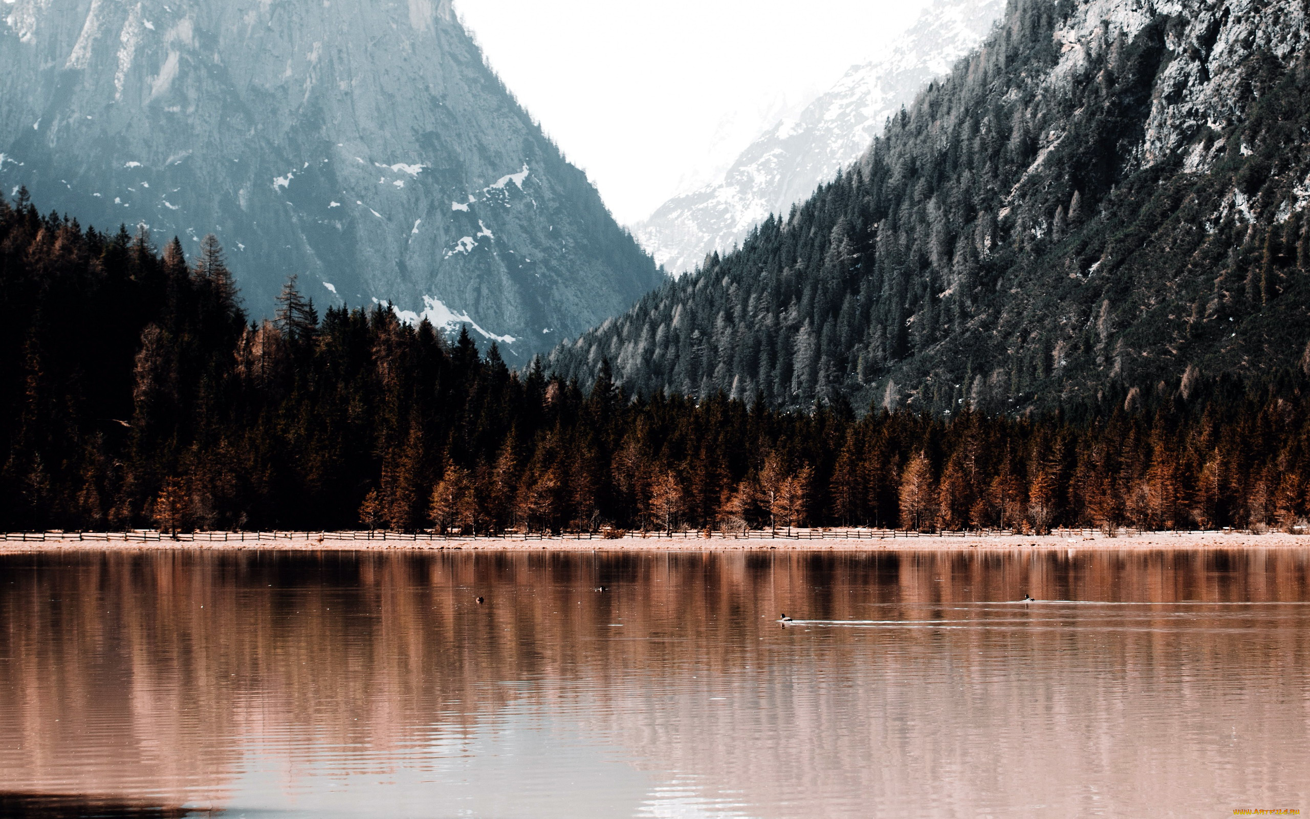 природа, реки, озера, осень, река