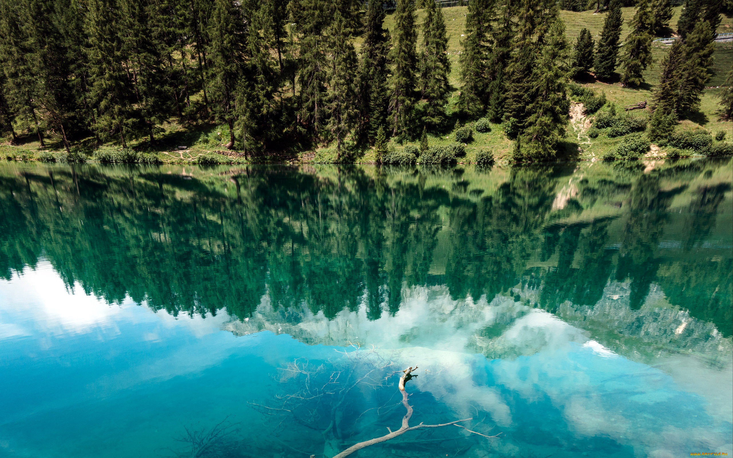 природа, реки, озера, вода, река, отражение