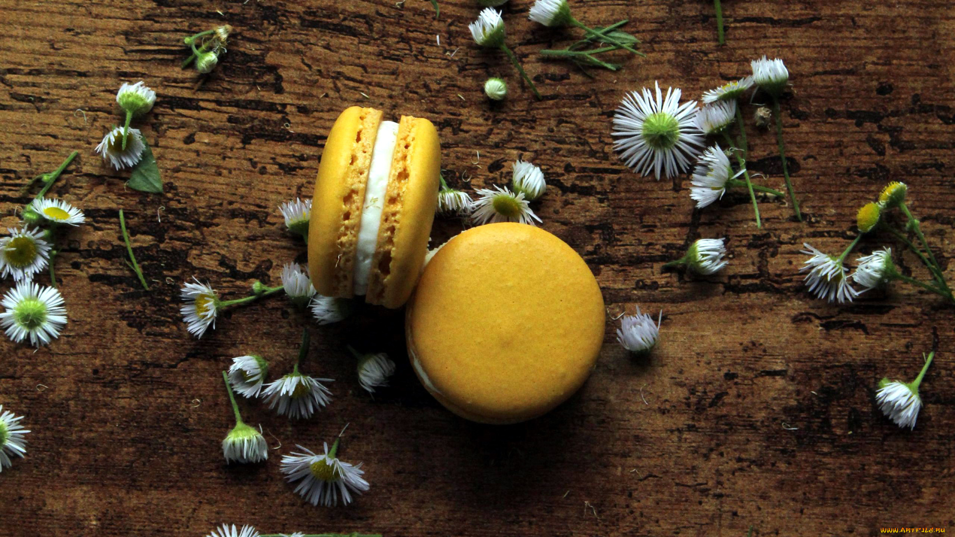 еда, макаруны, печенье, лакомство