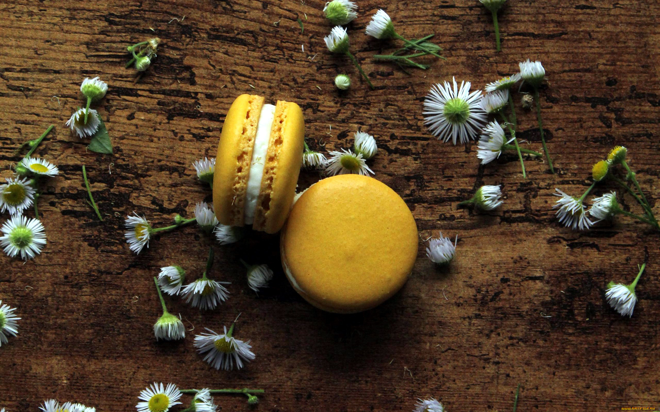 еда, макаруны, печенье, лакомство