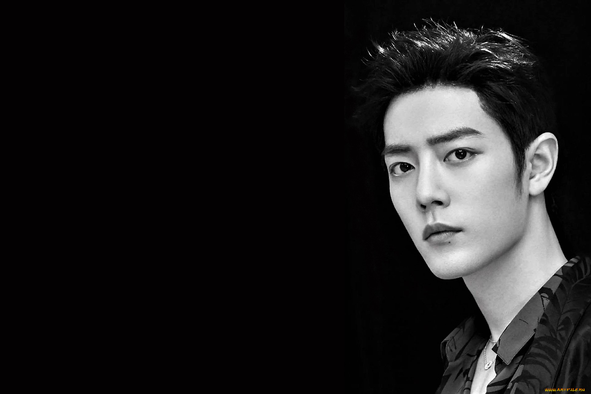 мужчины, xiao, zhan, актер, лицо