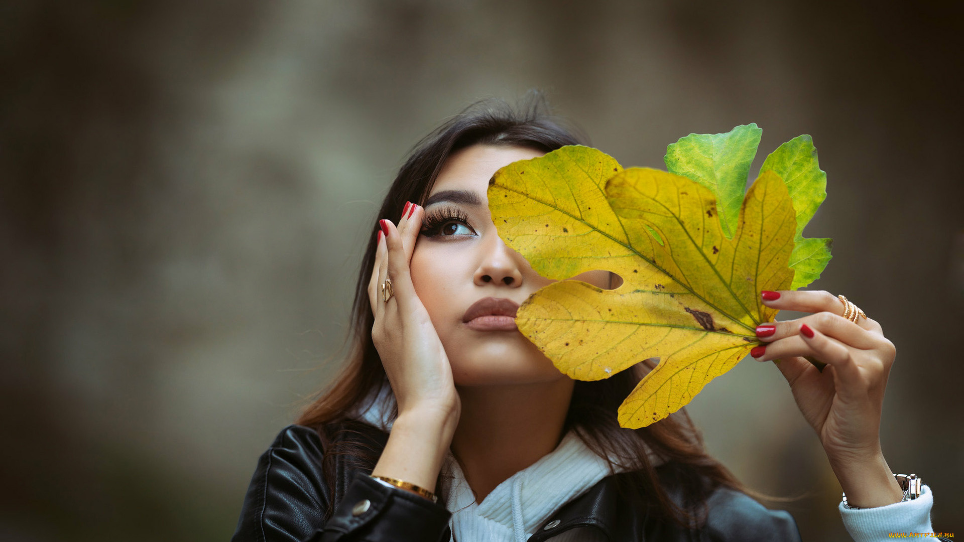 девушки, -, лица, , портреты, брюнетка, портрет, листья, осень