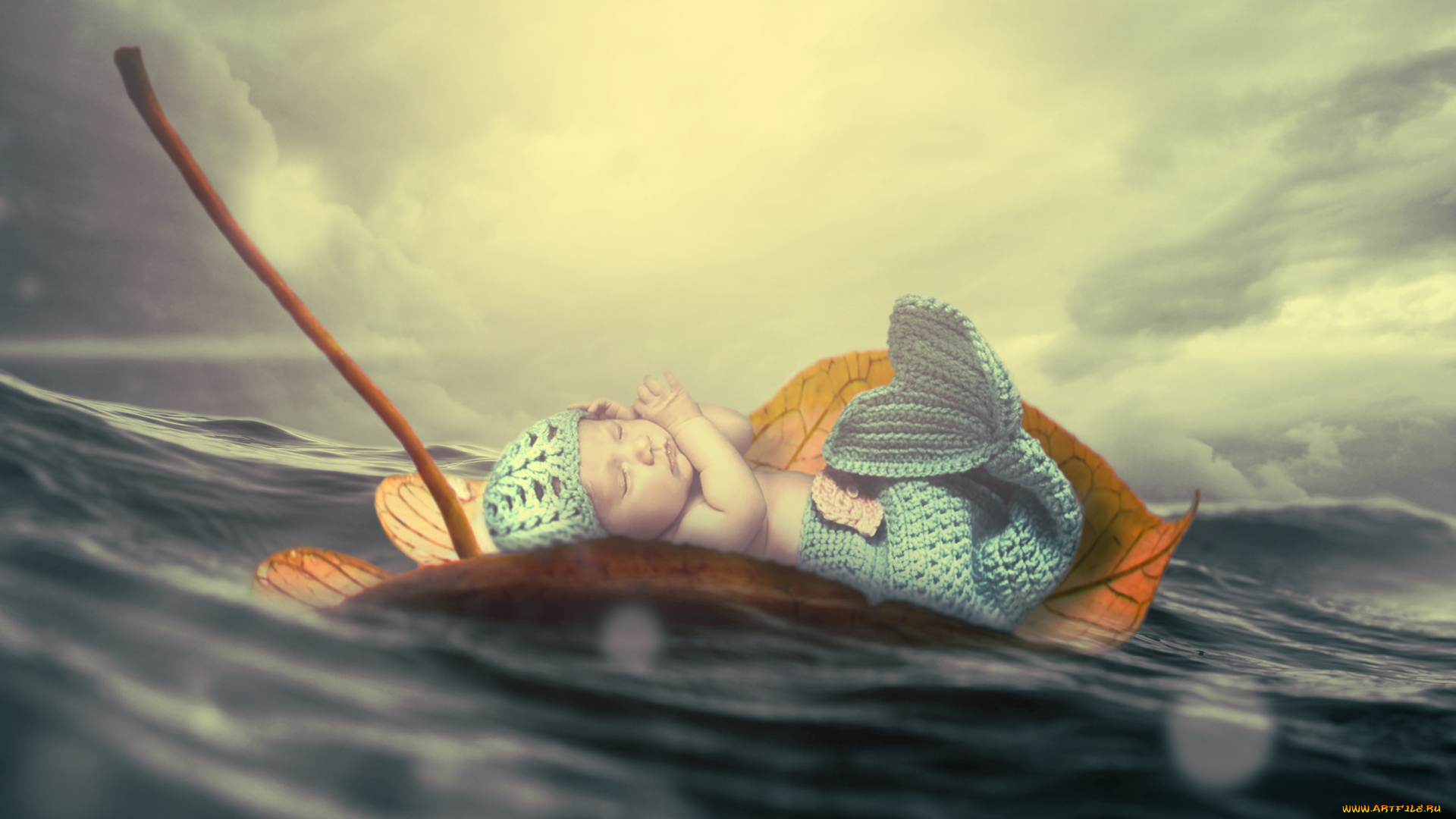 разное, компьютерный, дизайн, ребенок, костюм, лист, вода