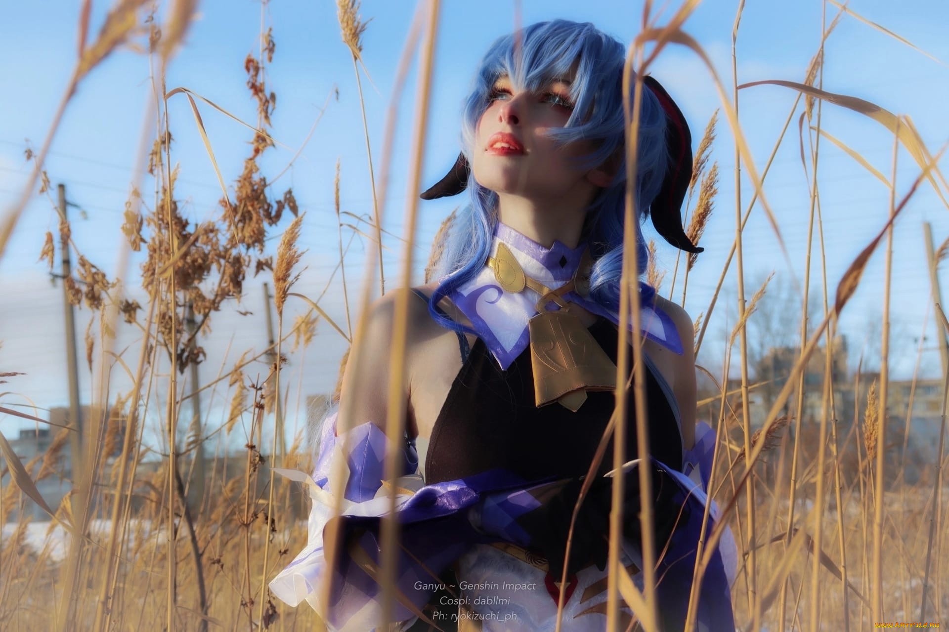 dabllme, девушки, -, креатив, , косплей, образ, костюм, камыши