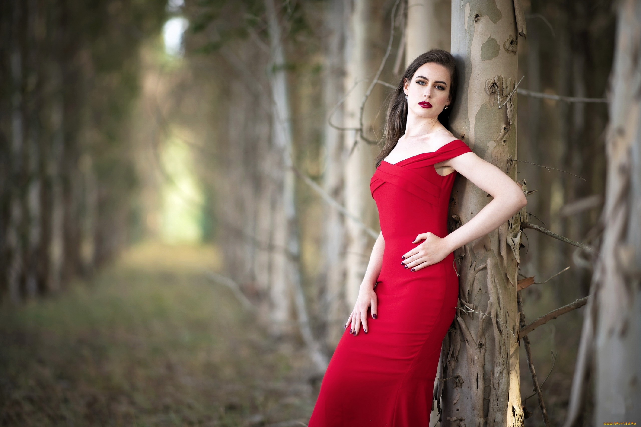 девушки, -, брюнетки, , шатенки, брюнетка, макияж, красное, платье