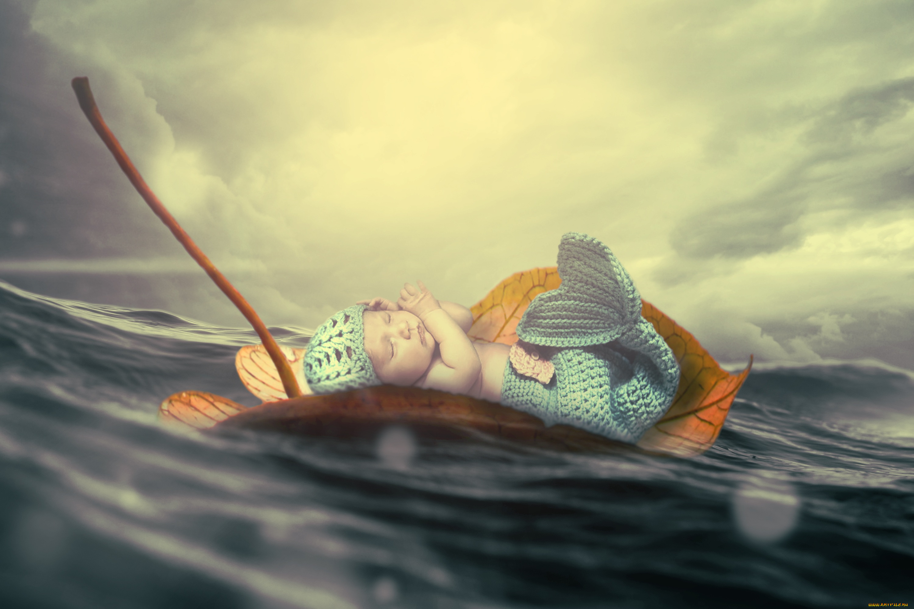 разное, компьютерный, дизайн, ребенок, костюм, лист, вода