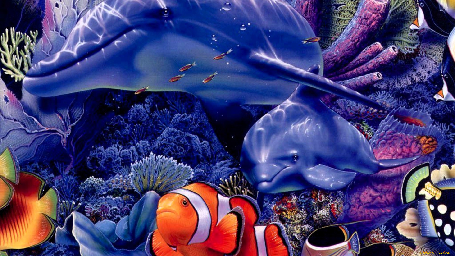 рисованное, животные, дельфины, рыбы, кораллы