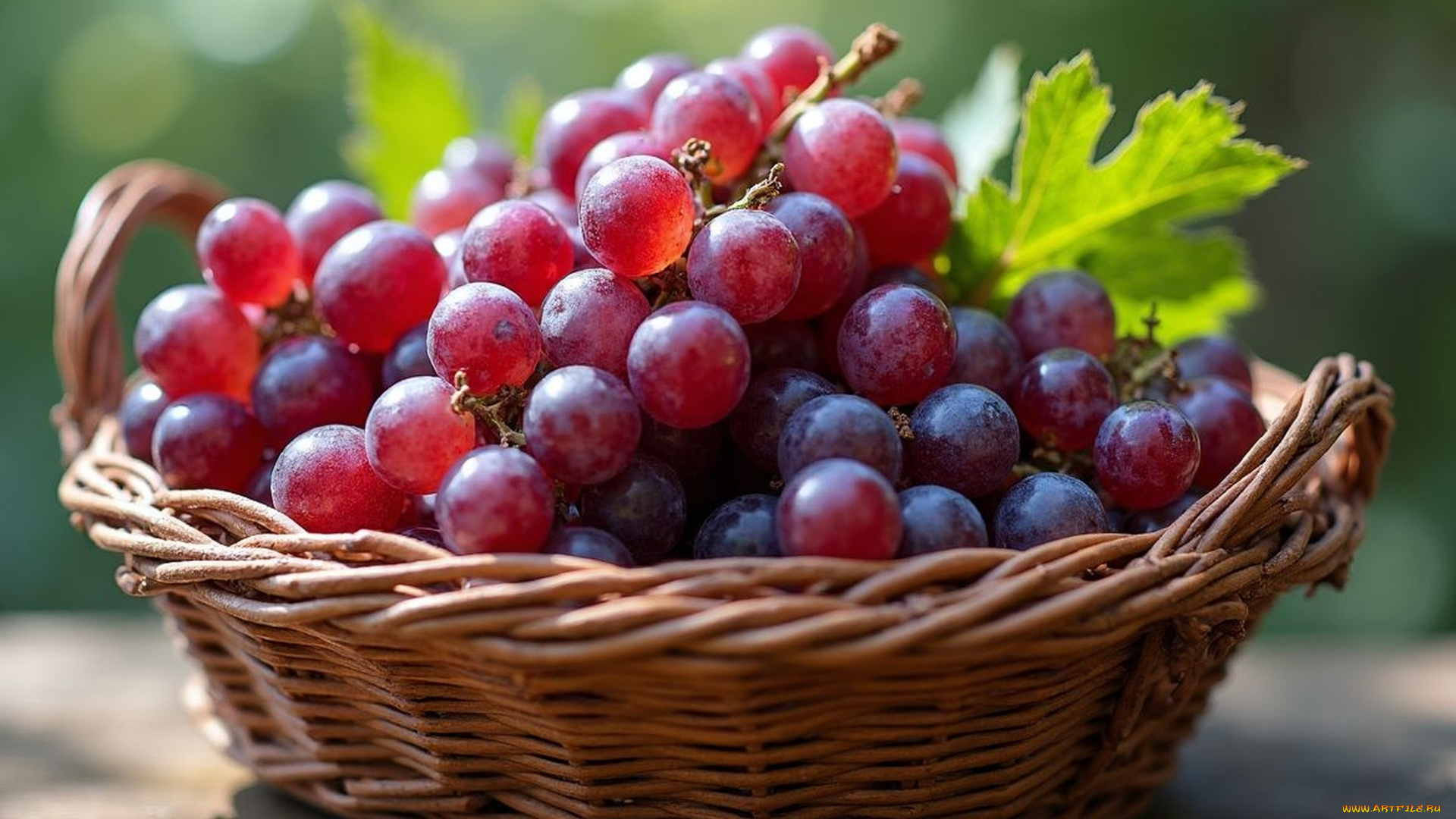 еда, виноград, корзинка, урожай