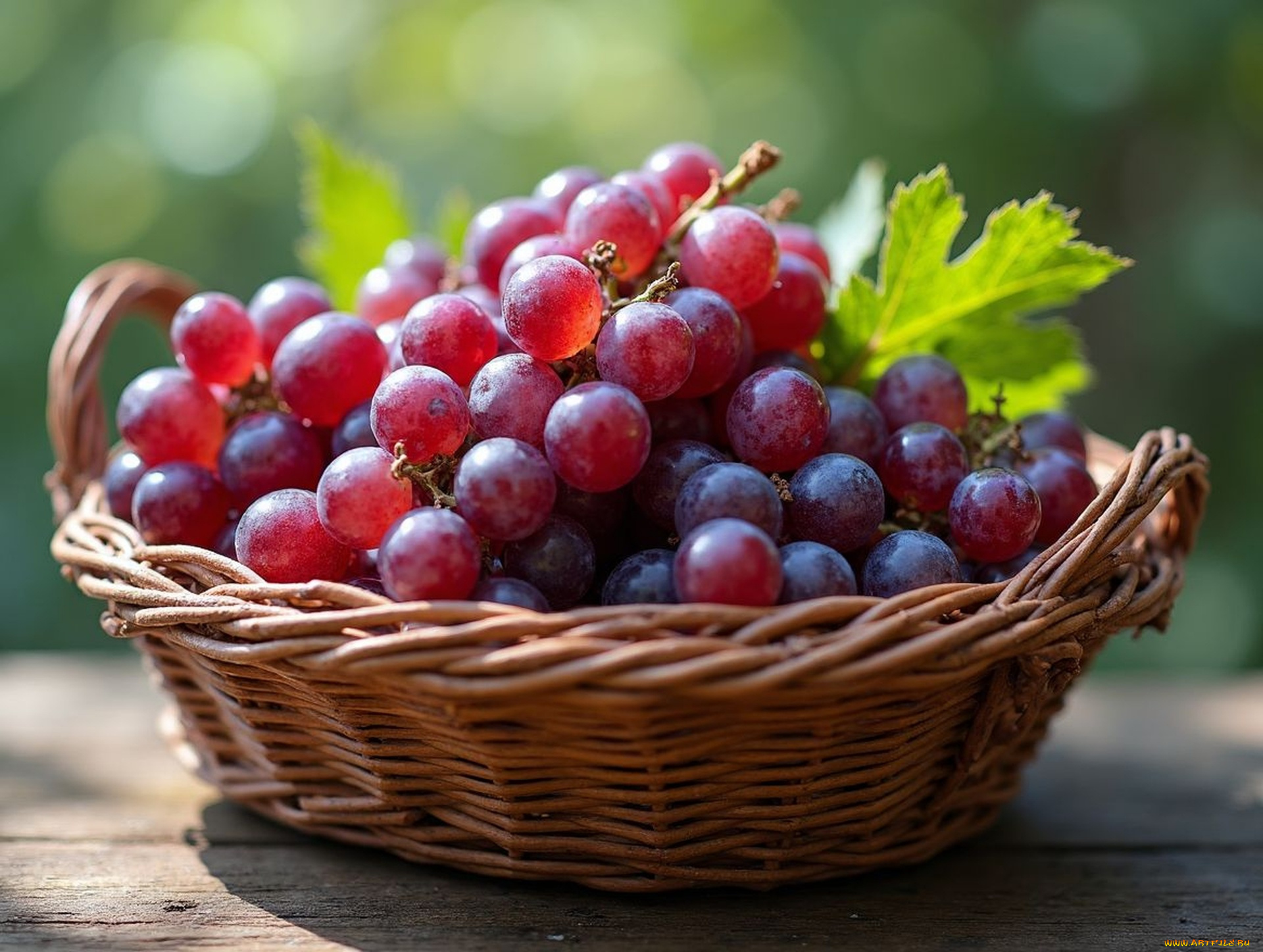 еда, виноград, корзинка, урожай