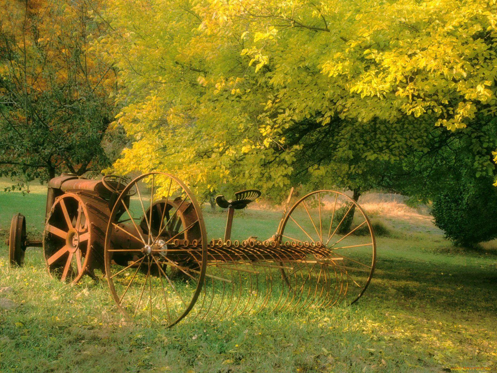 harvesting, yesterdays, seabeck, washington, техника, тракторы