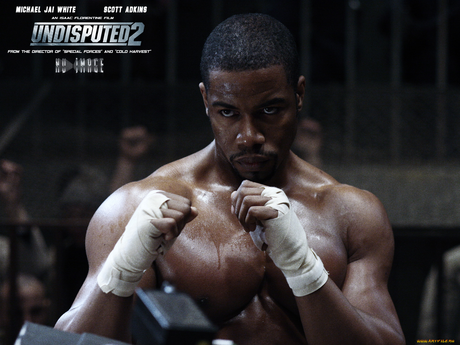 undisputed, ii, last, man, standing, кино, фильмы