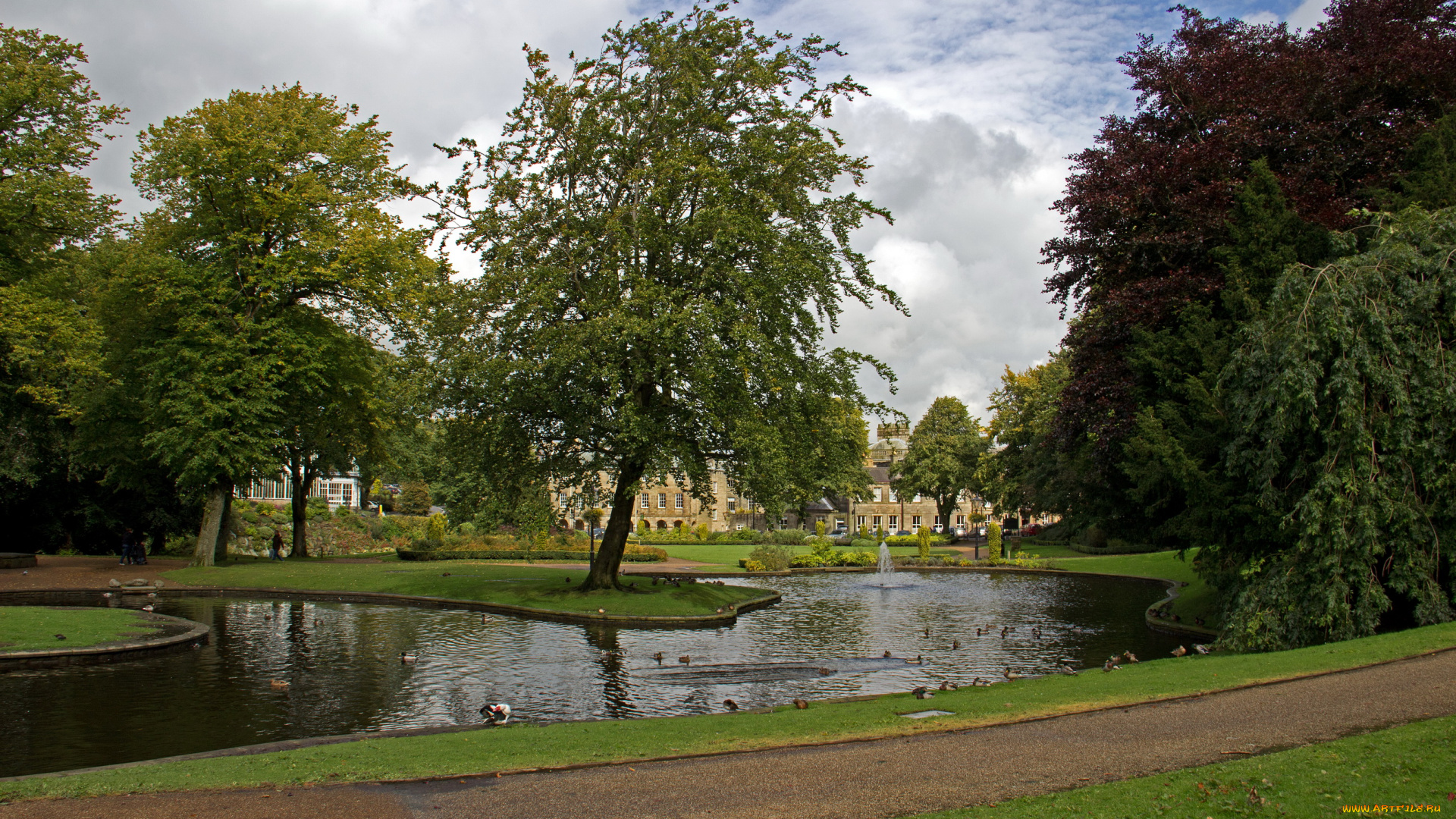 англия, бакстон, парк, природа, деревья, река