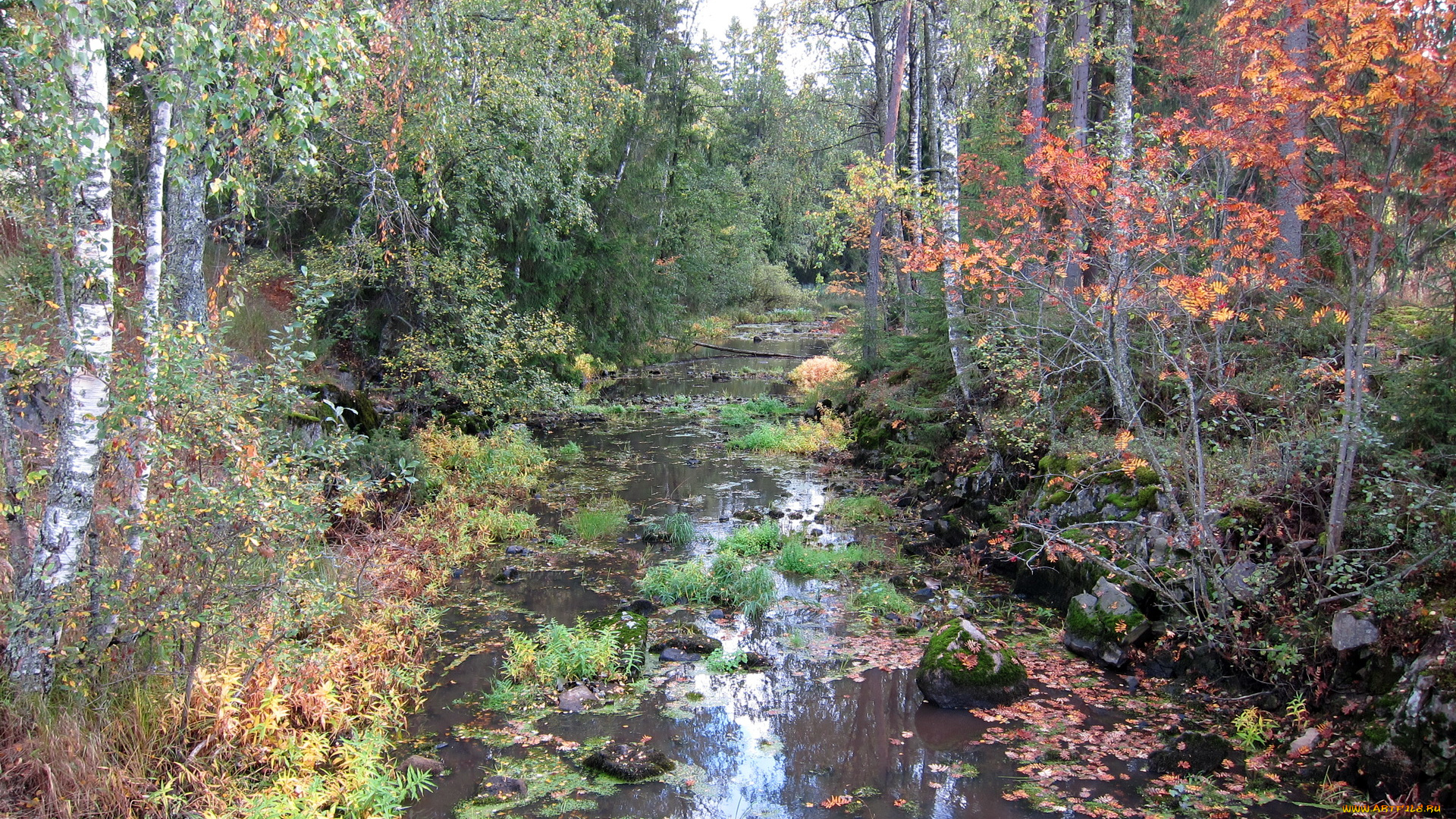 финляндия, aura, природа, реки, озера