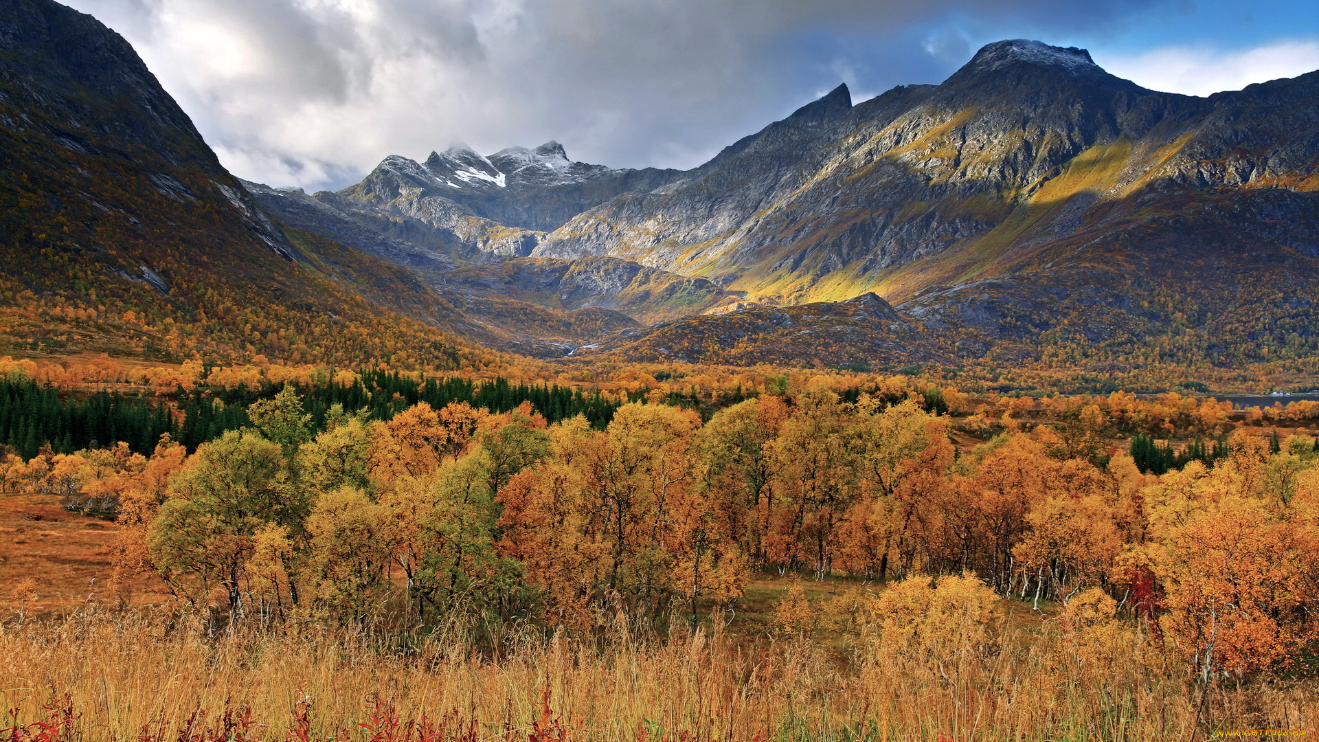 gullesfjordbotn, норвегия, природа, горы