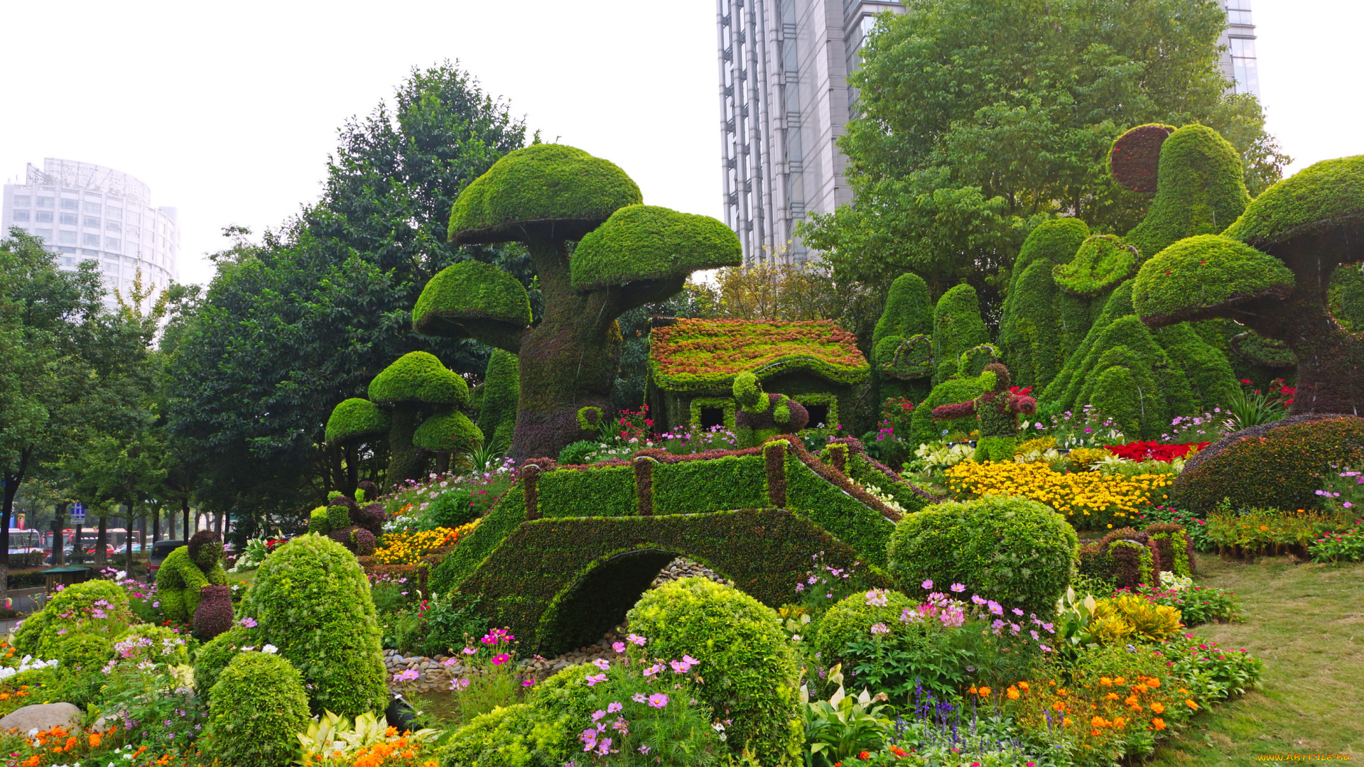 китай, ханьчжоу, природа, парк